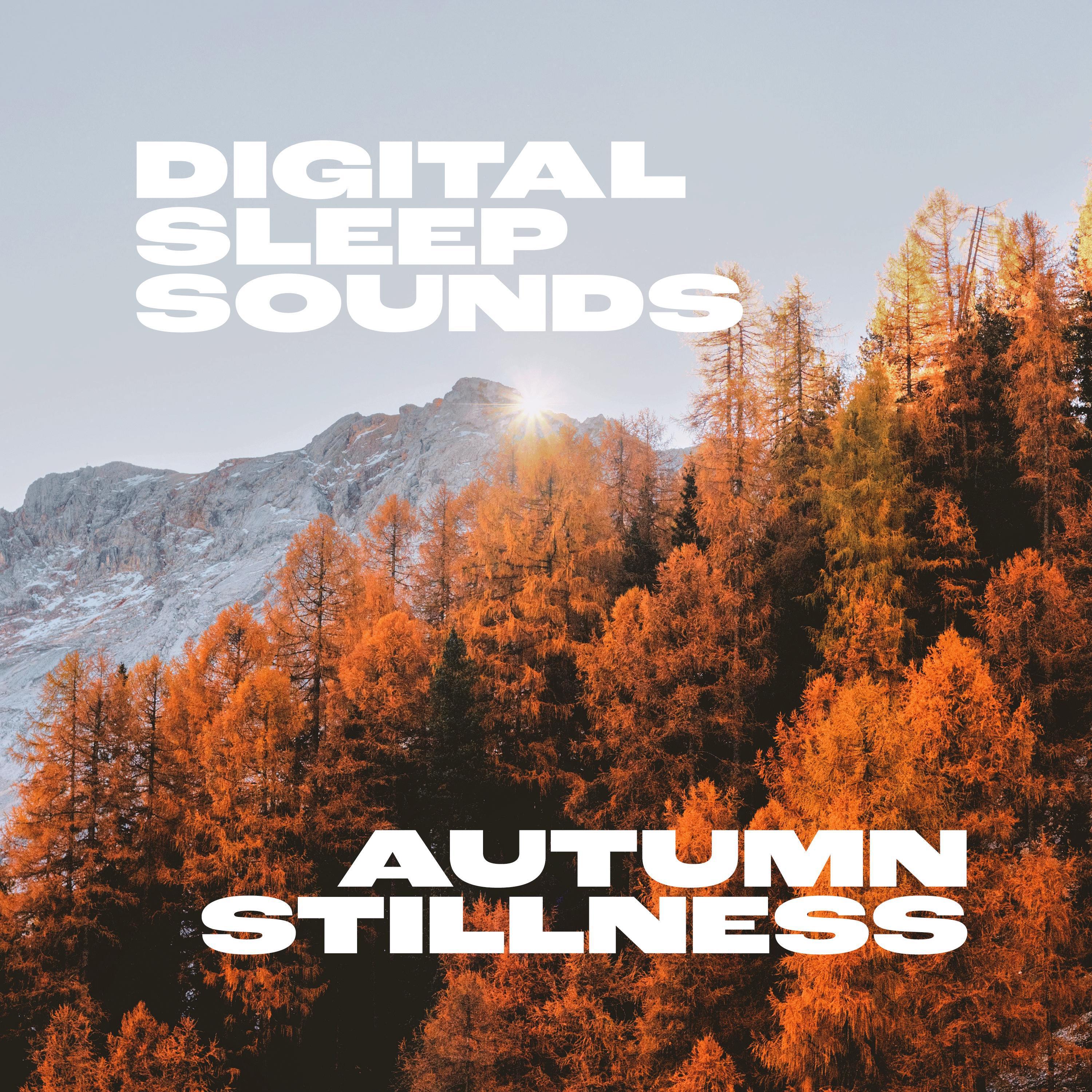 Постер альбома Autumn Stillness