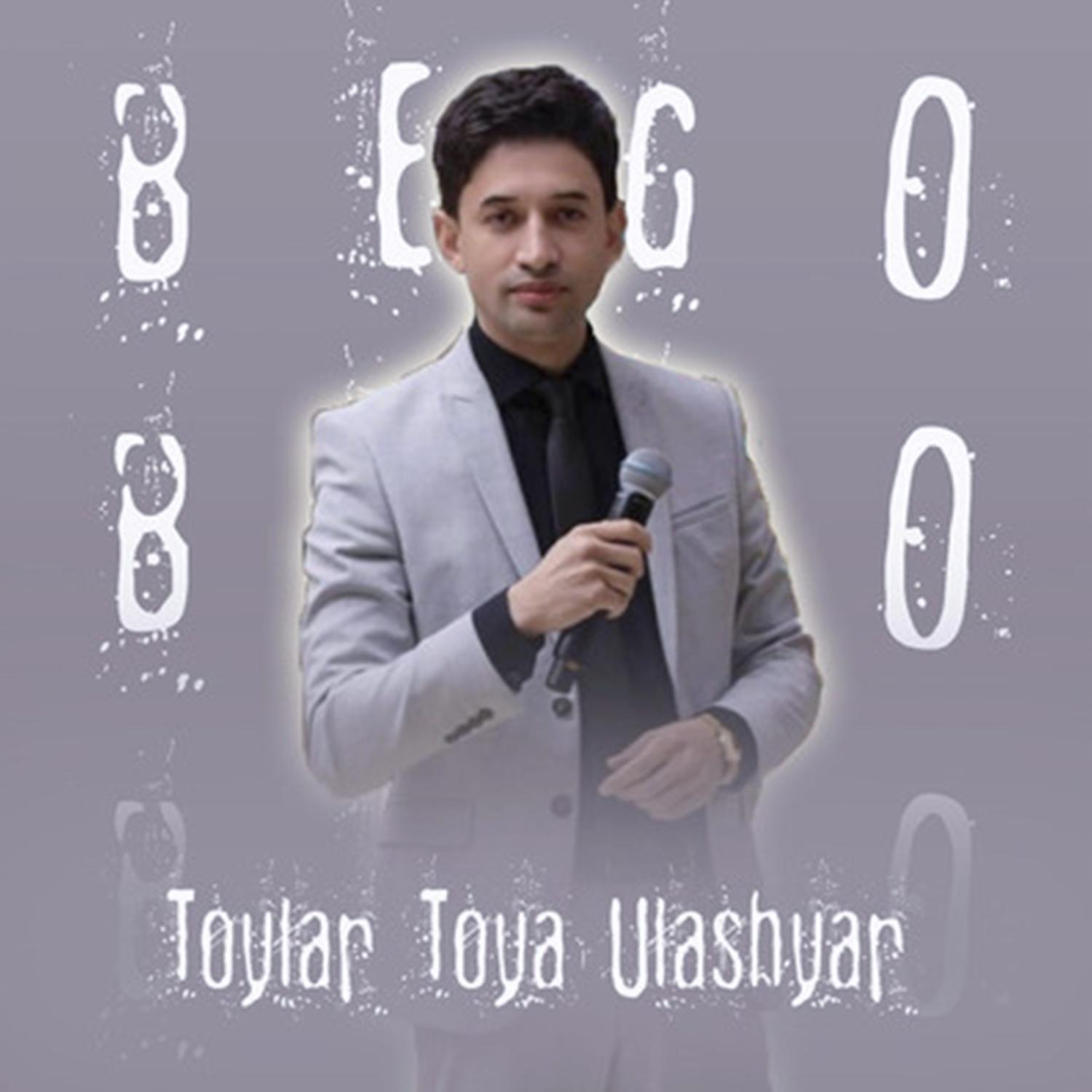 Постер альбома Toylar Toya Ulashyar