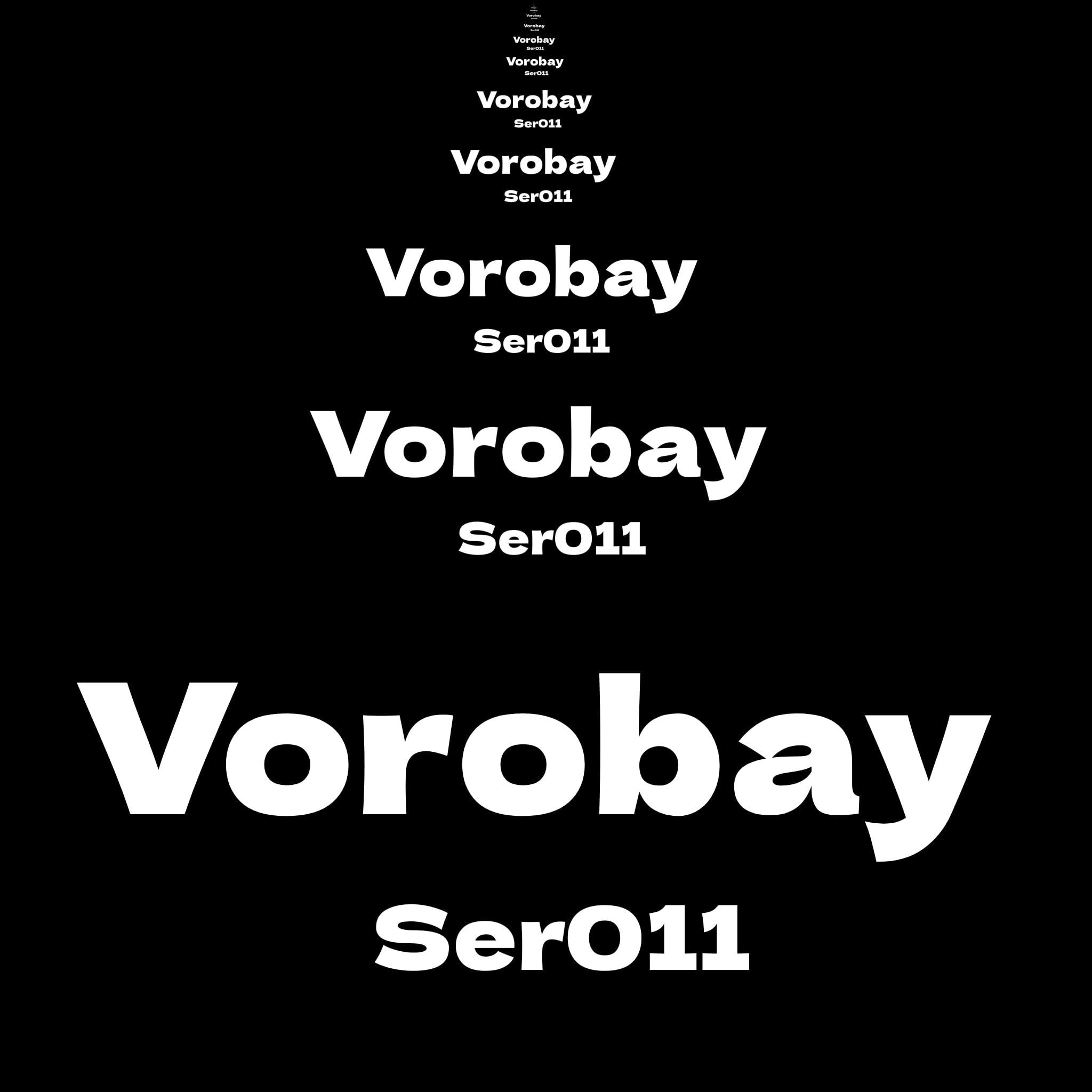 Постер альбома Vorobay