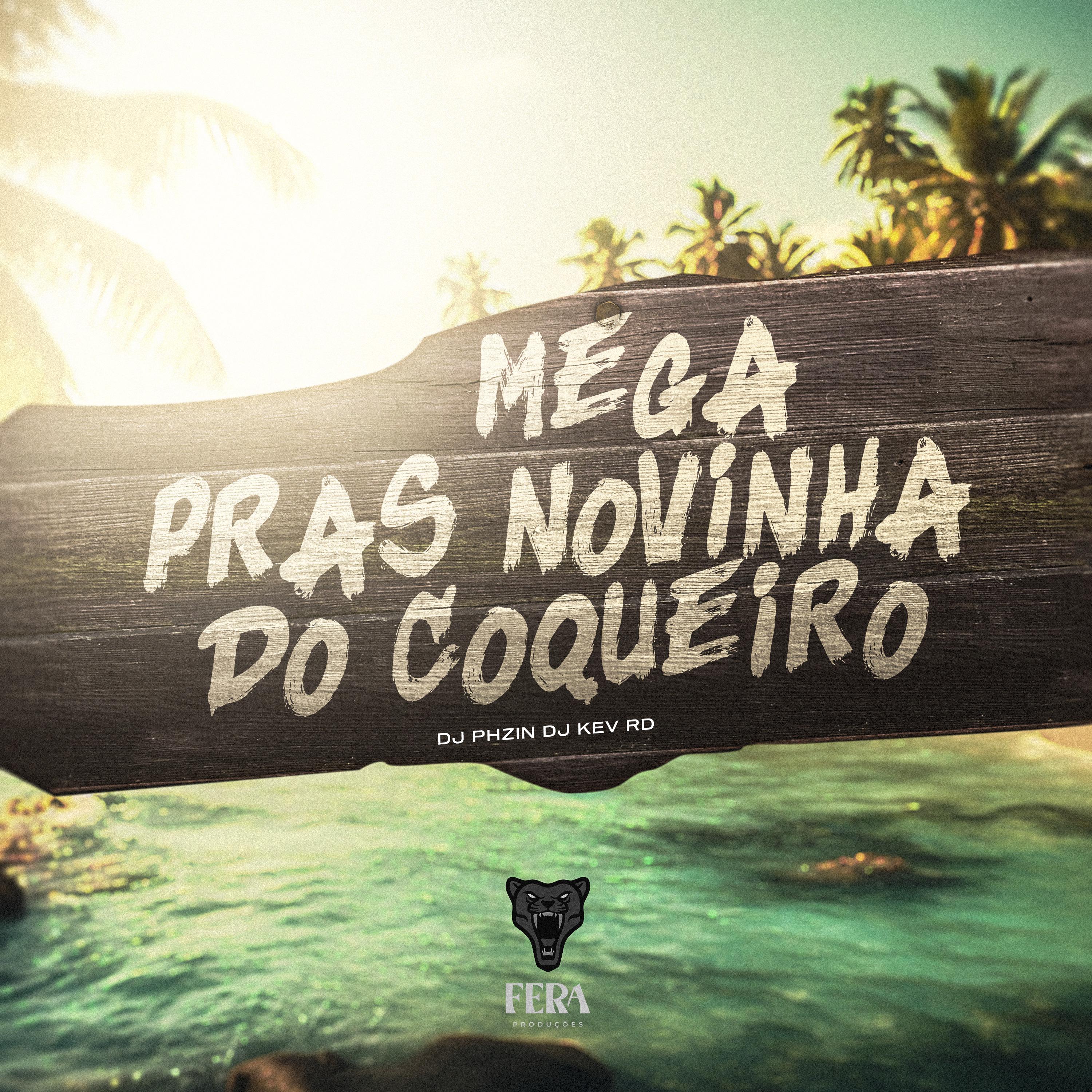 Постер альбома Mega Pras Novinha do Coqueiro