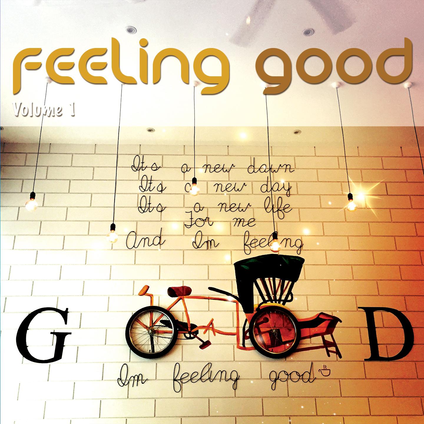Постер альбома Feeling Good, Vol. 1