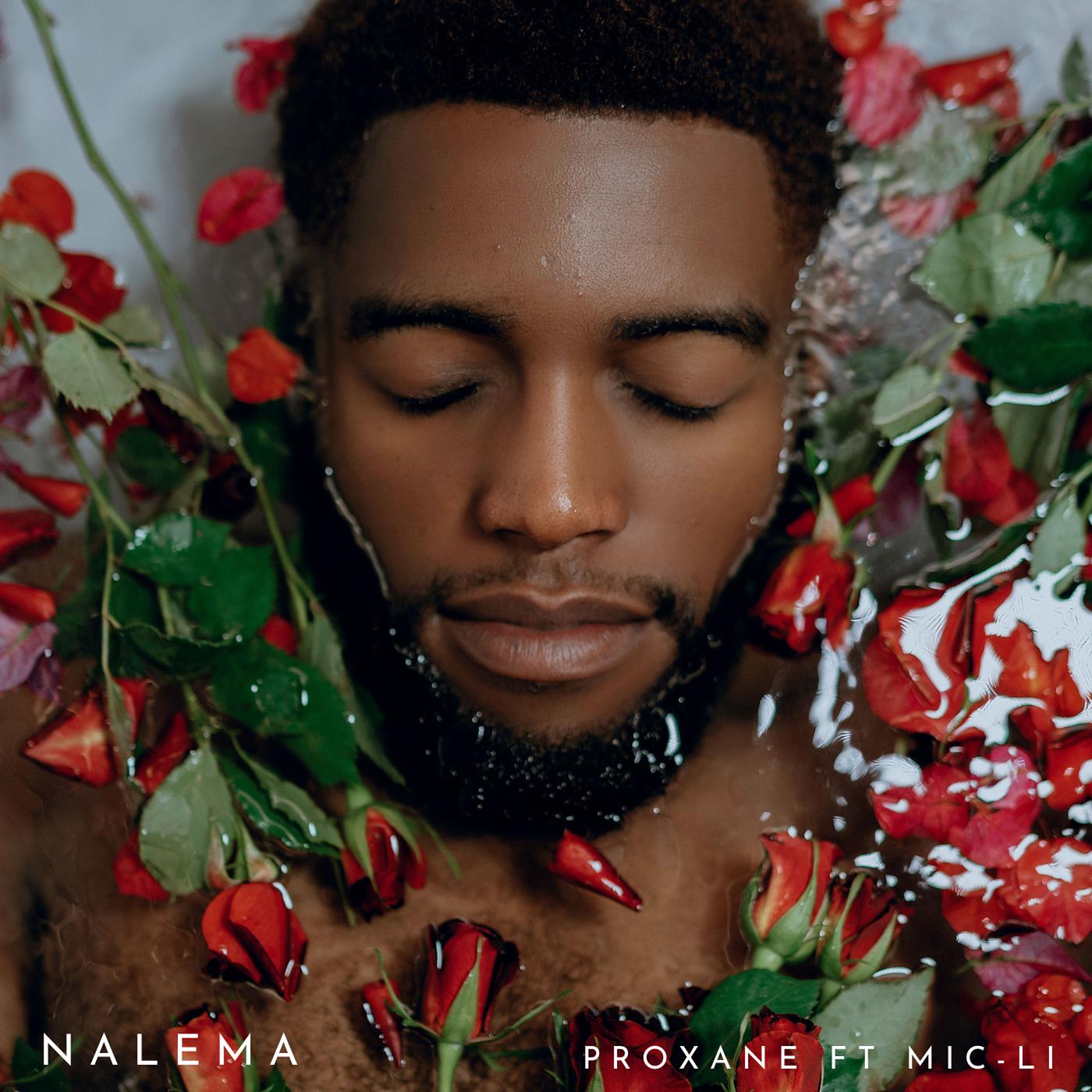 Постер альбома Nalema