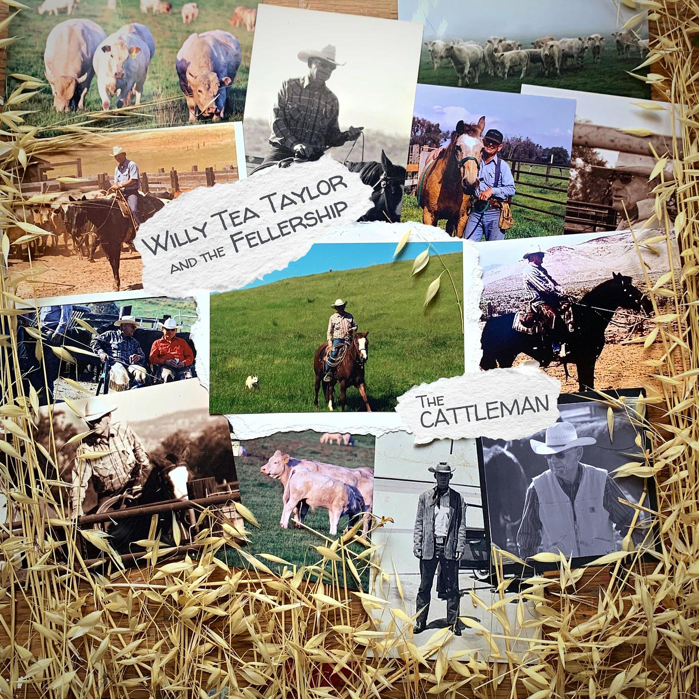 Постер альбома The Cattleman