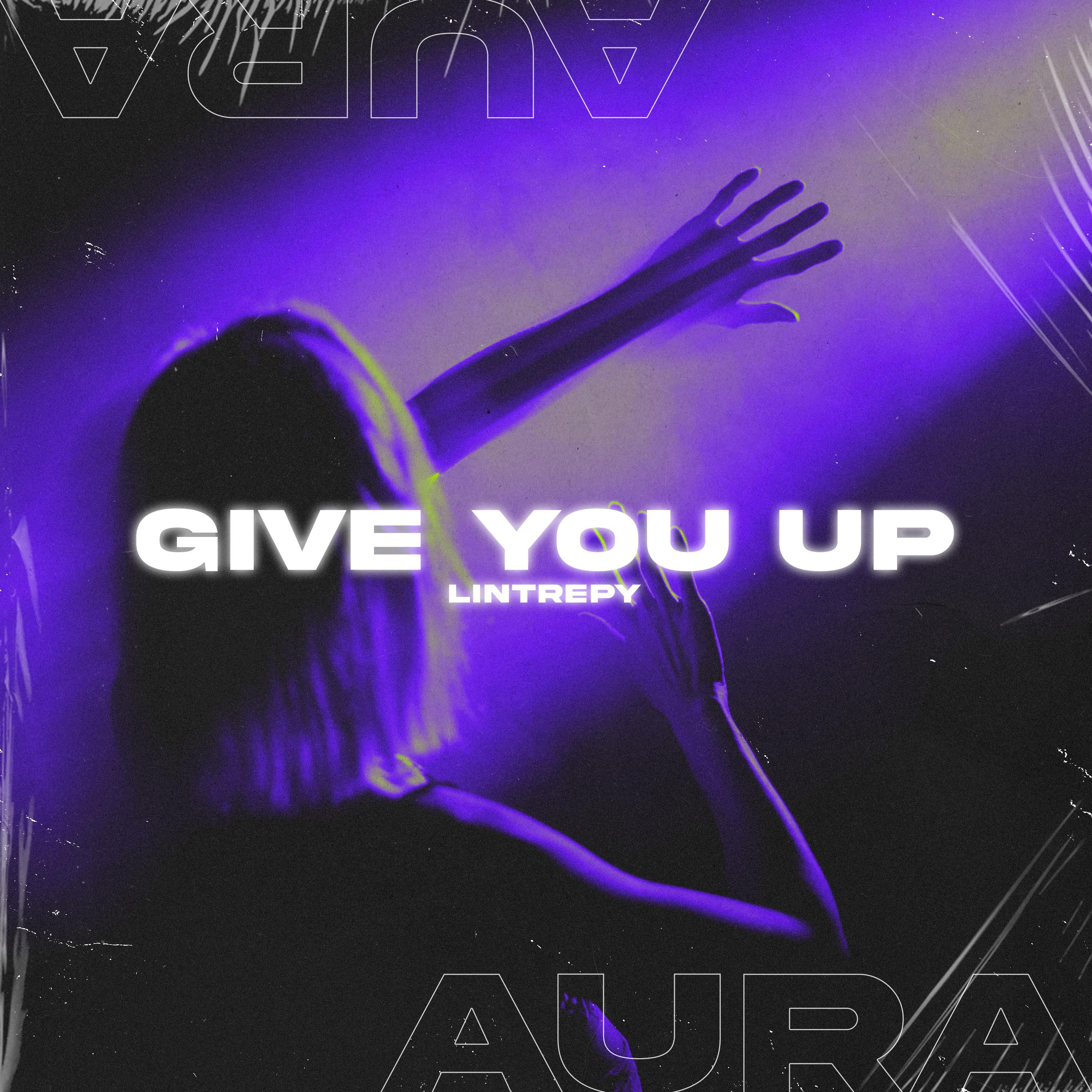 Постер альбома Give You Up