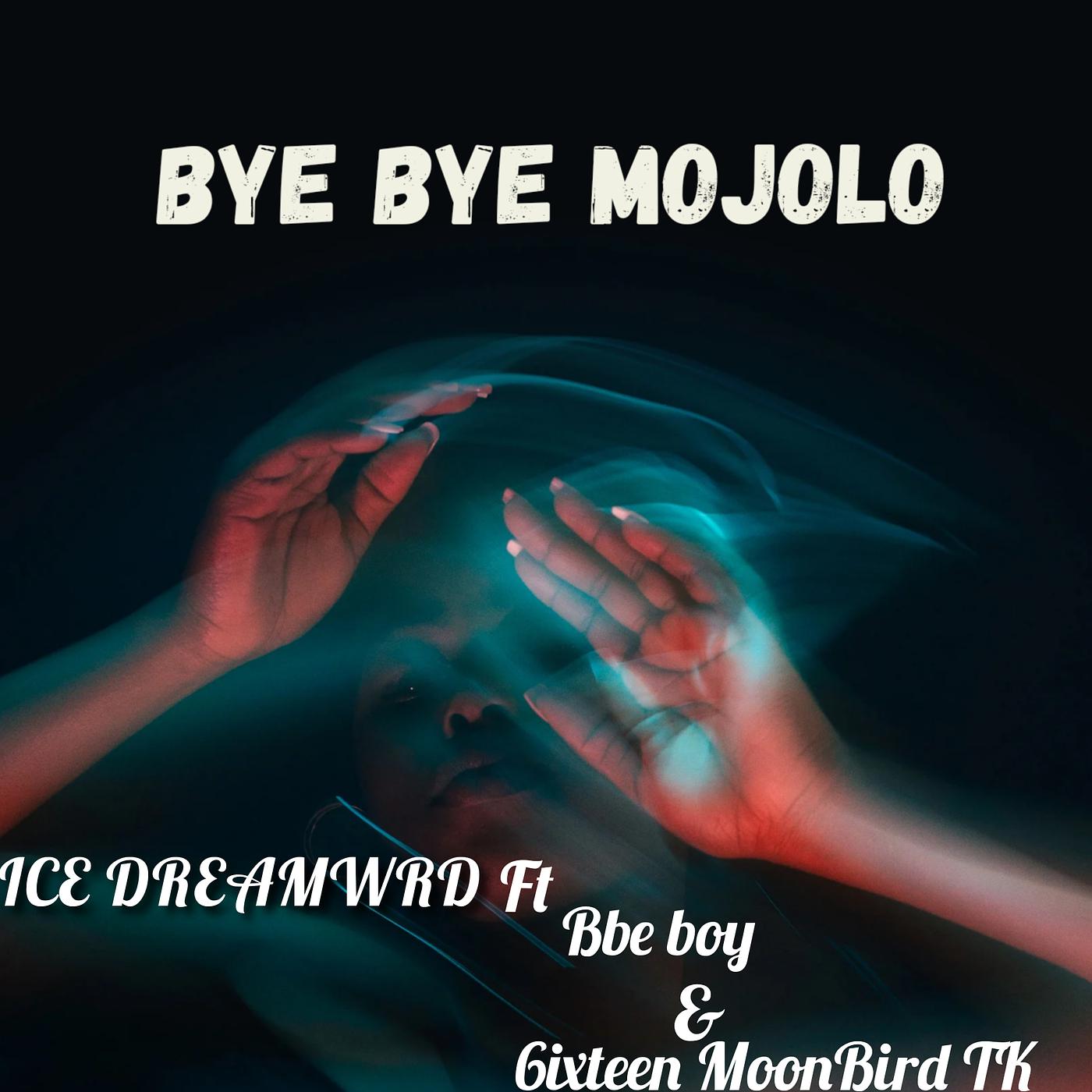 Постер альбома Bye Bye Mojolo