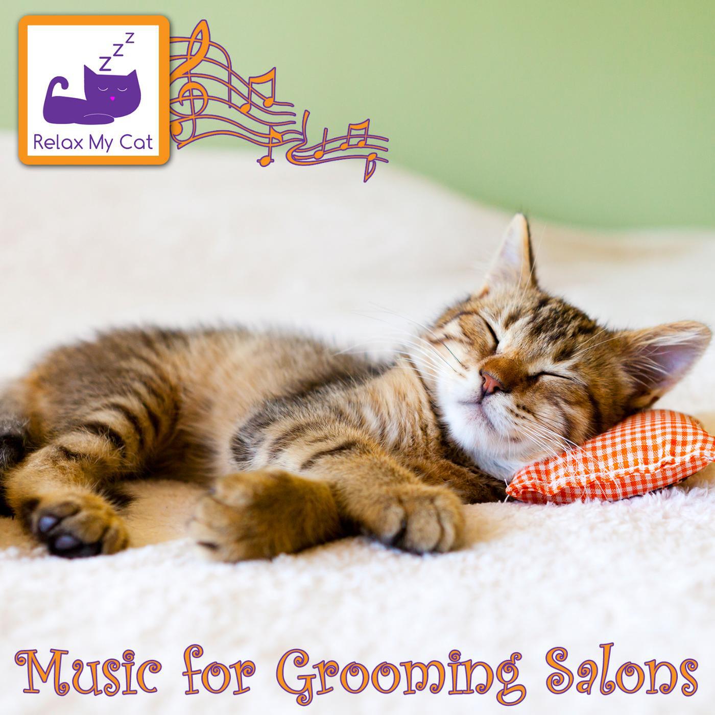 RelaxMyCat - Cat Grooming Music