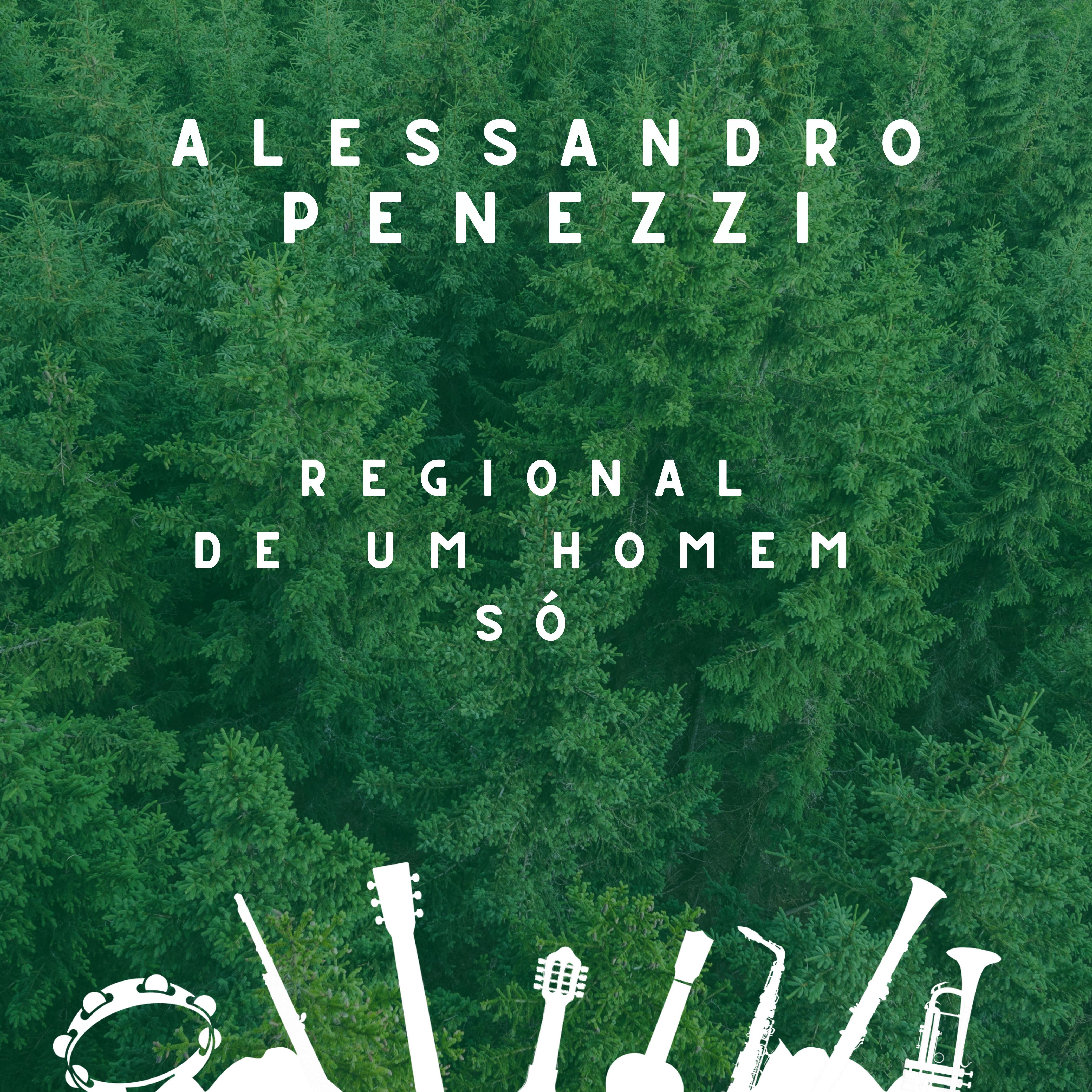 Постер альбома Regional de um Homem Só