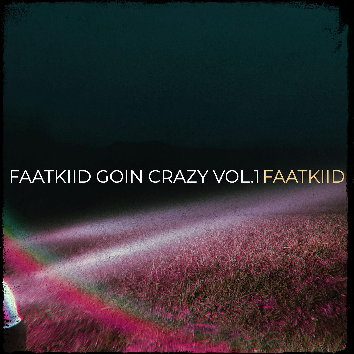 Постер альбома FaatKiid Goin Crazy, Vol. 1