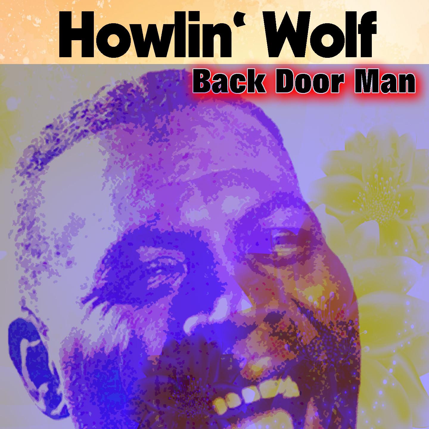 Постер альбома Back Door Man