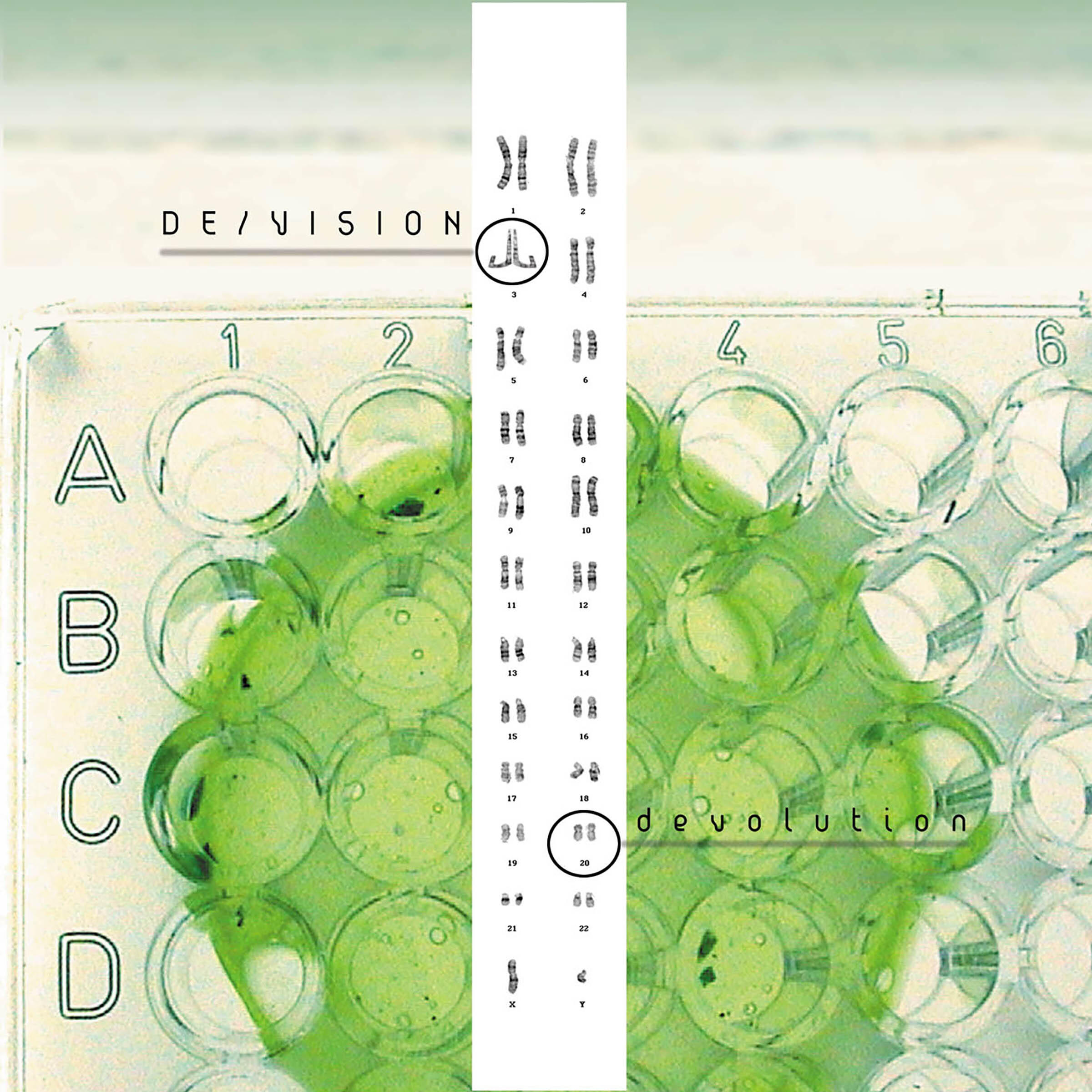 De/Vision - Digital Dream (Analogue at 46hz by Icon of Coil)