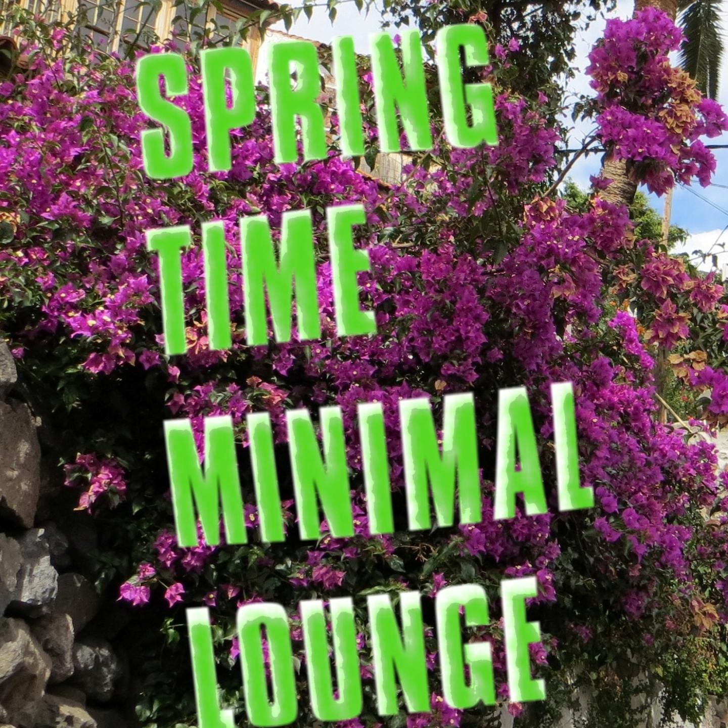 Постер альбома Springtime Minimal Lounge