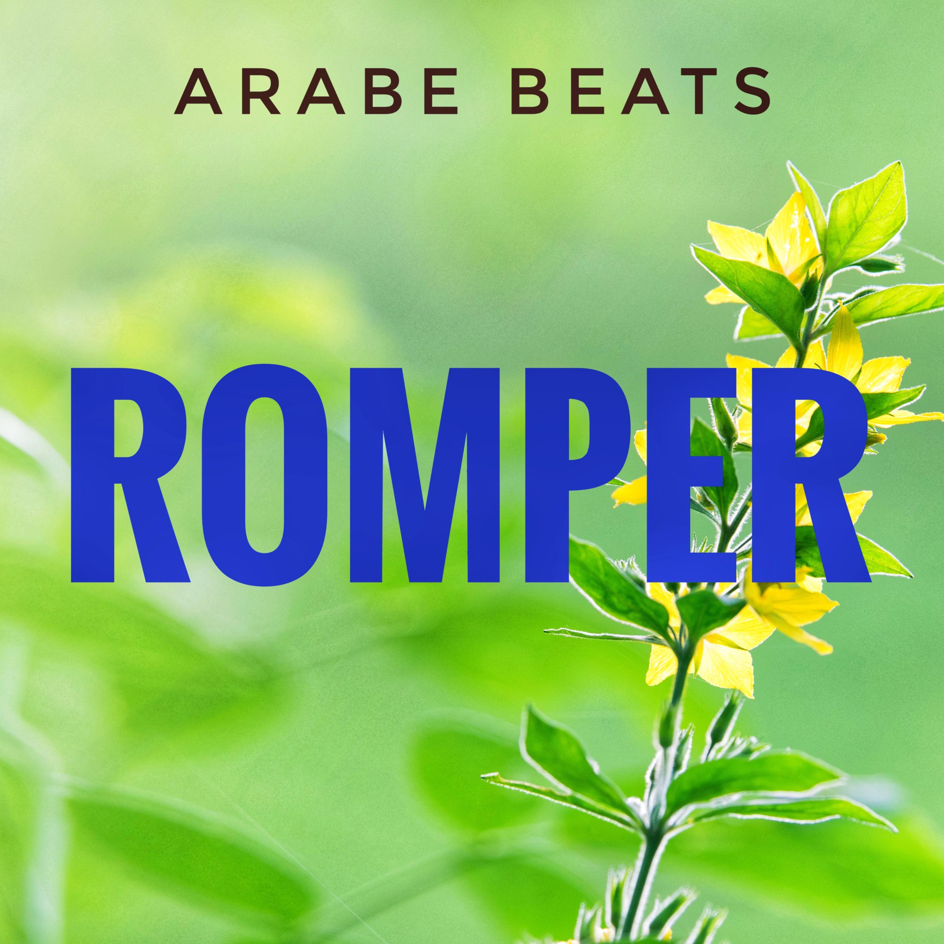 Постер альбома Romper