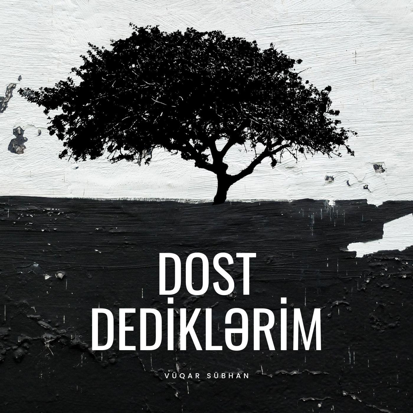 Постер альбома Dost Dediklərim