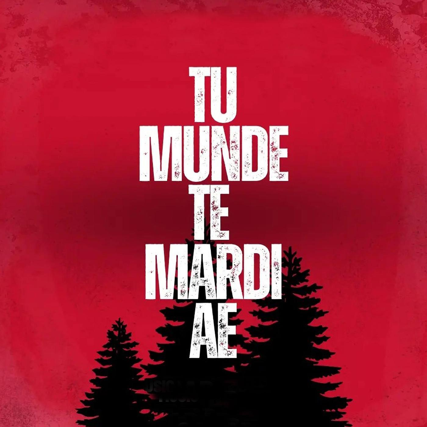 Постер альбома Tu Munde Te Mardi Ae