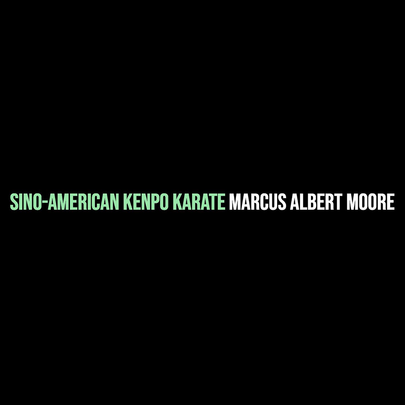 Постер альбома Sino-American Kenpo Karate