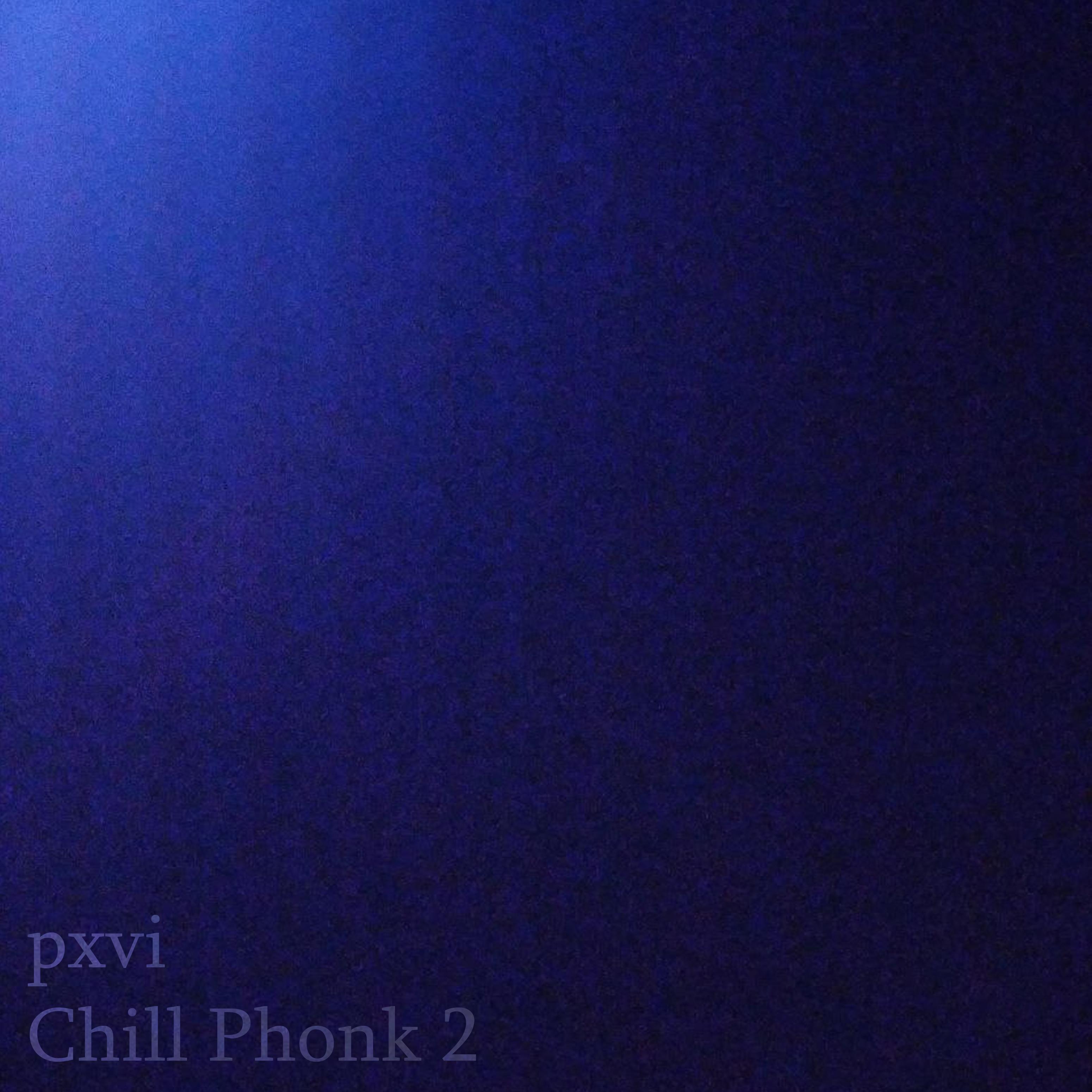 Постер альбома Chill Phonk 2