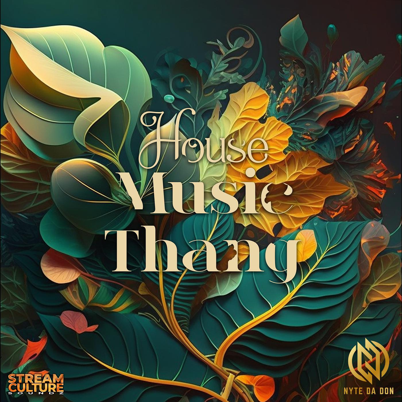 Постер альбома House Music Thang