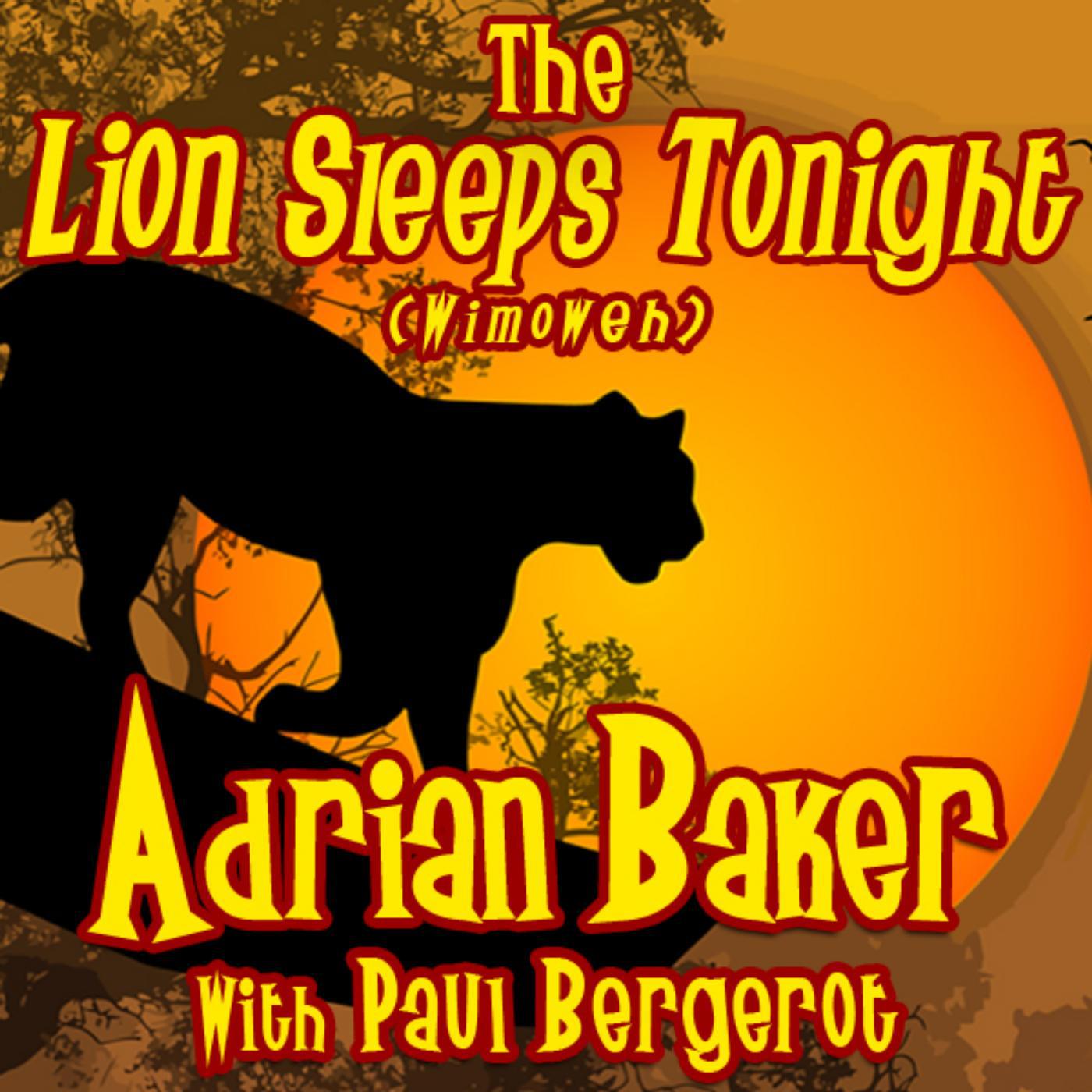 Постер альбома The Lion Sleeps Tonight (Wimoweh) [feat. Paul Bergerot]