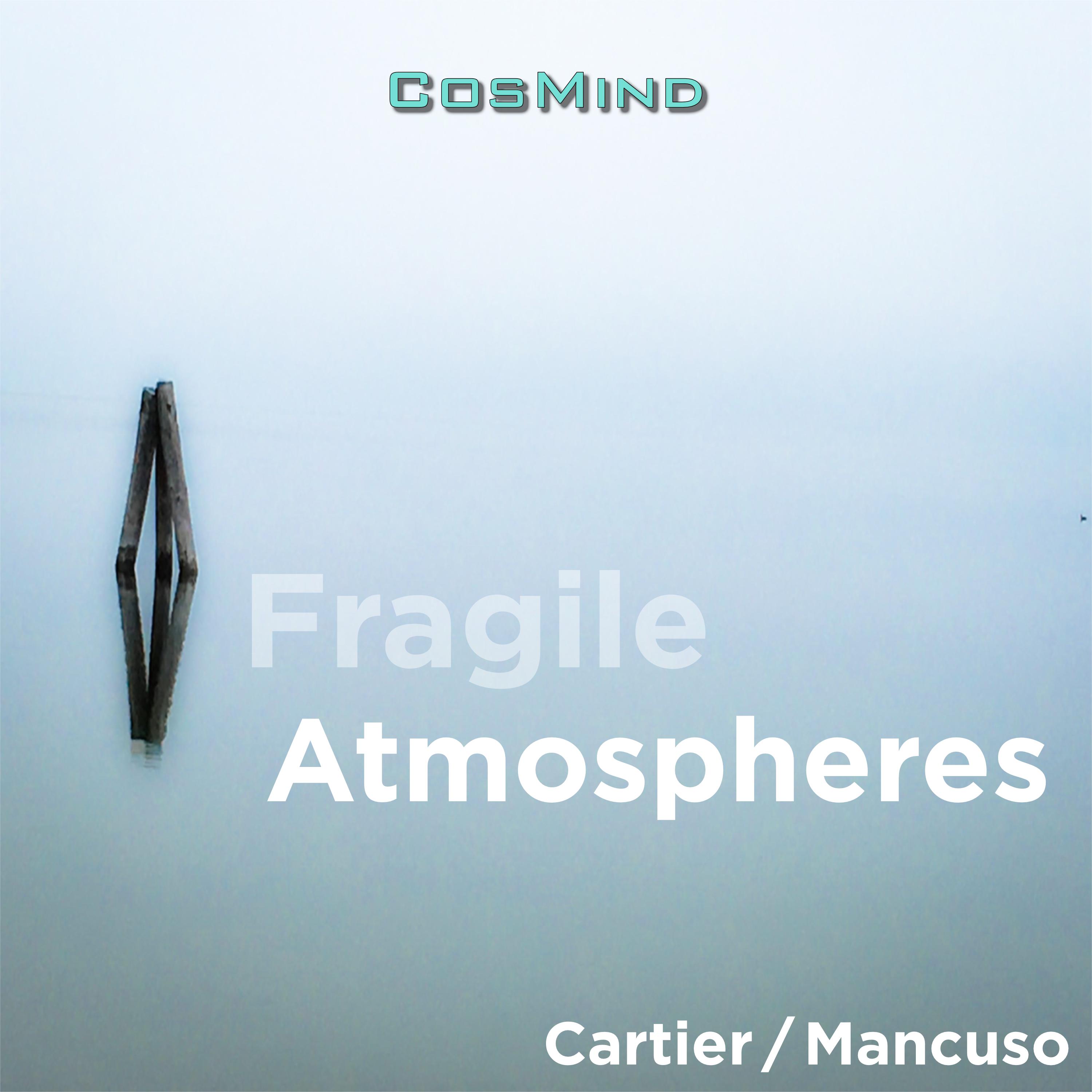 Постер альбома Floating Fragile Adagio