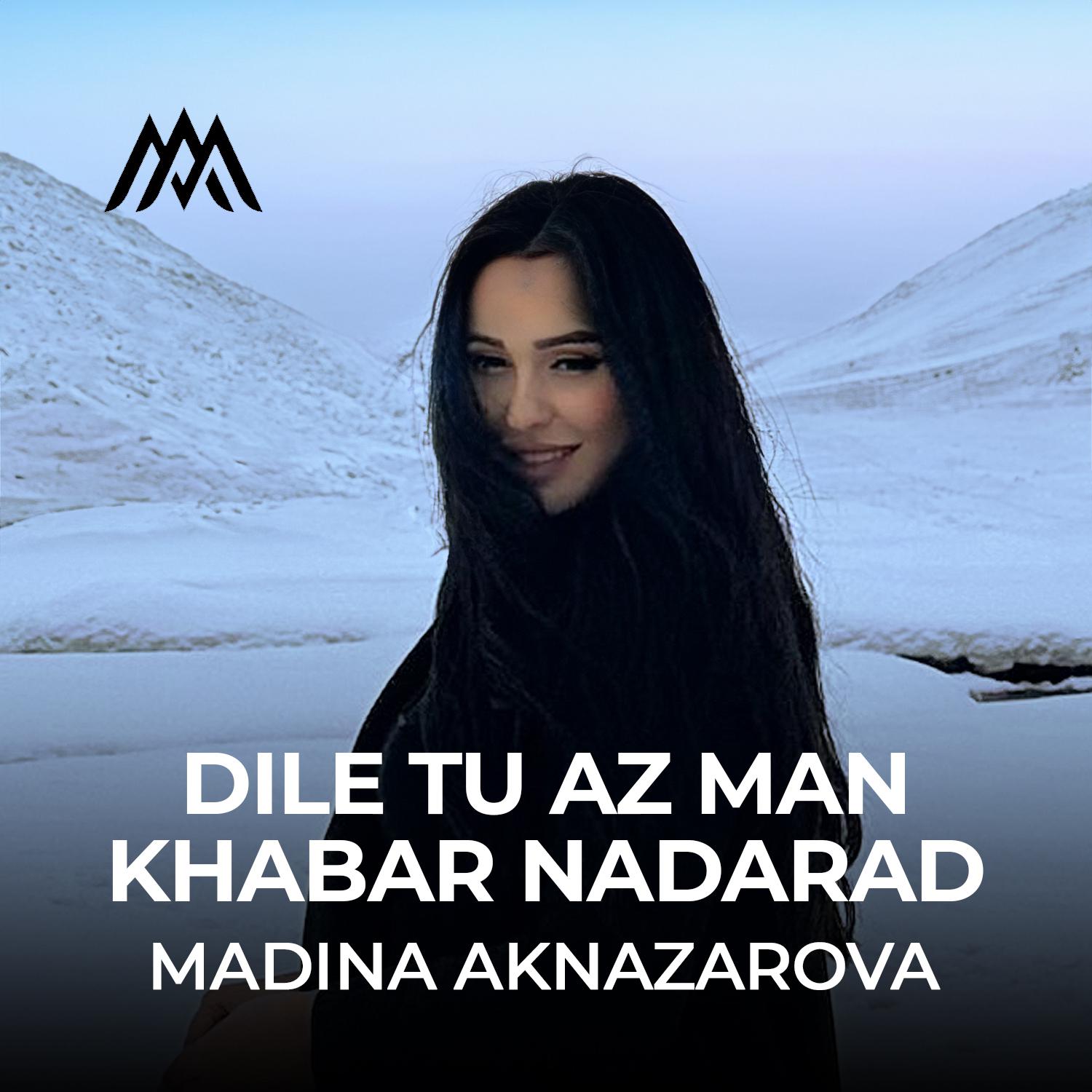 Постер альбома Dile Tu Az Man Khabar Nadarad