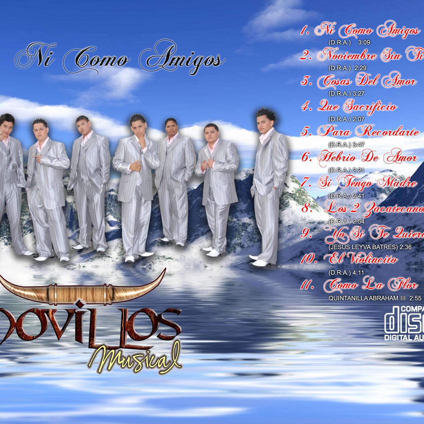 NOVILLOS MUSICAL - Noviembre Sin Ti
