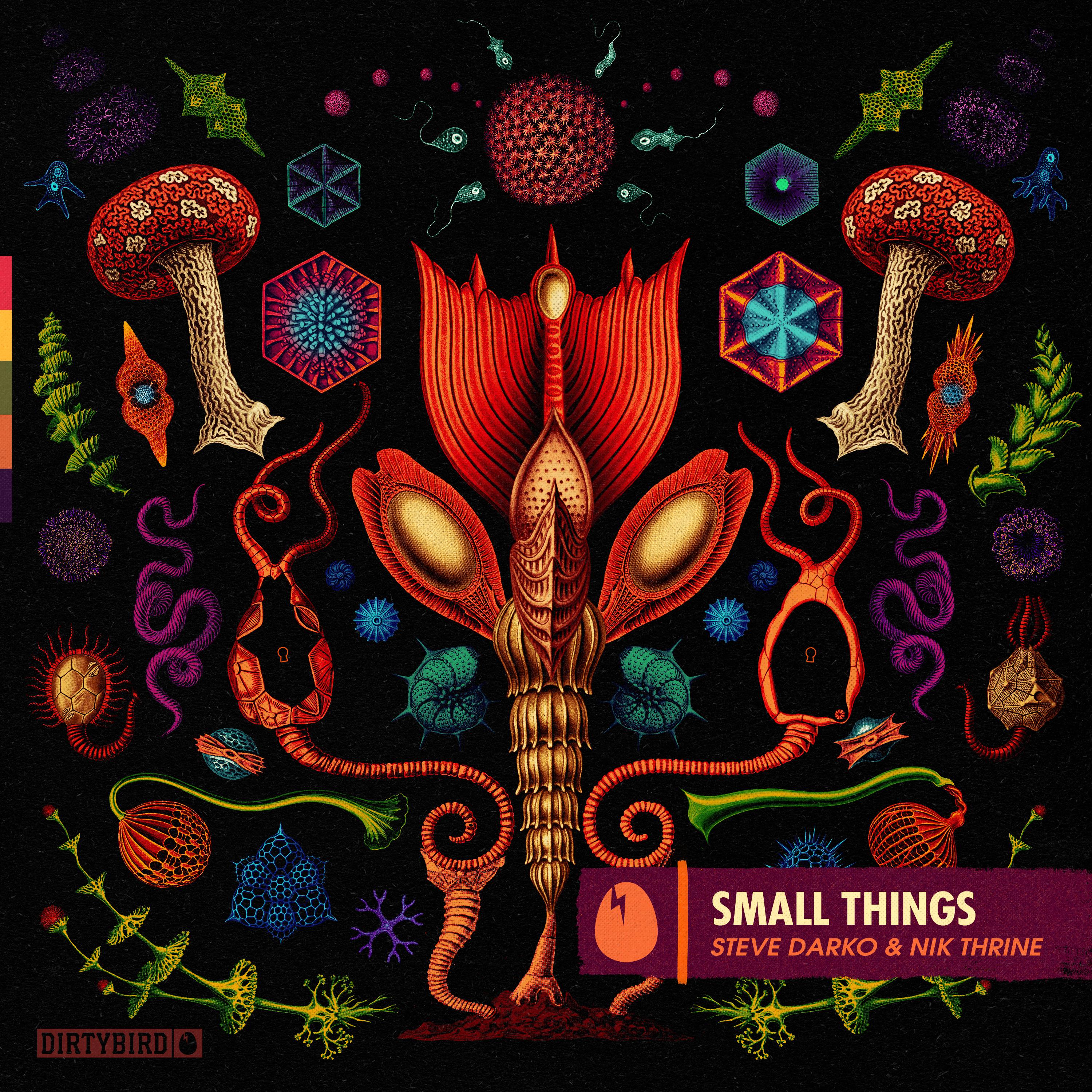 Постер альбома Small Things