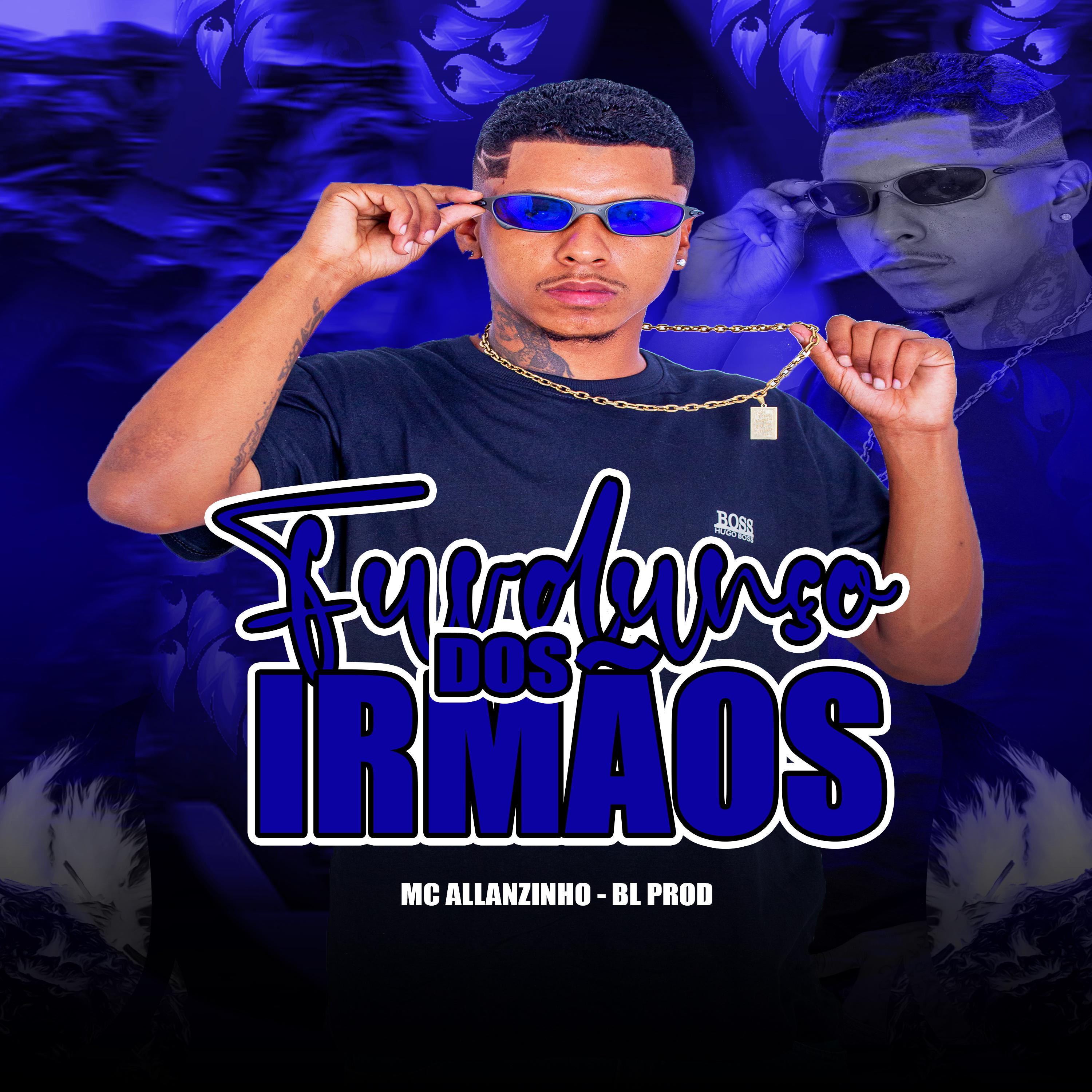 Постер альбома Furdunço dos Irmãos