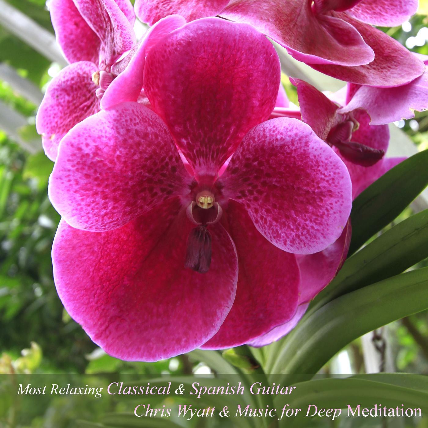 Music for Deep Meditation & Chris Wyton - Larghetto by Mauro Giuliani