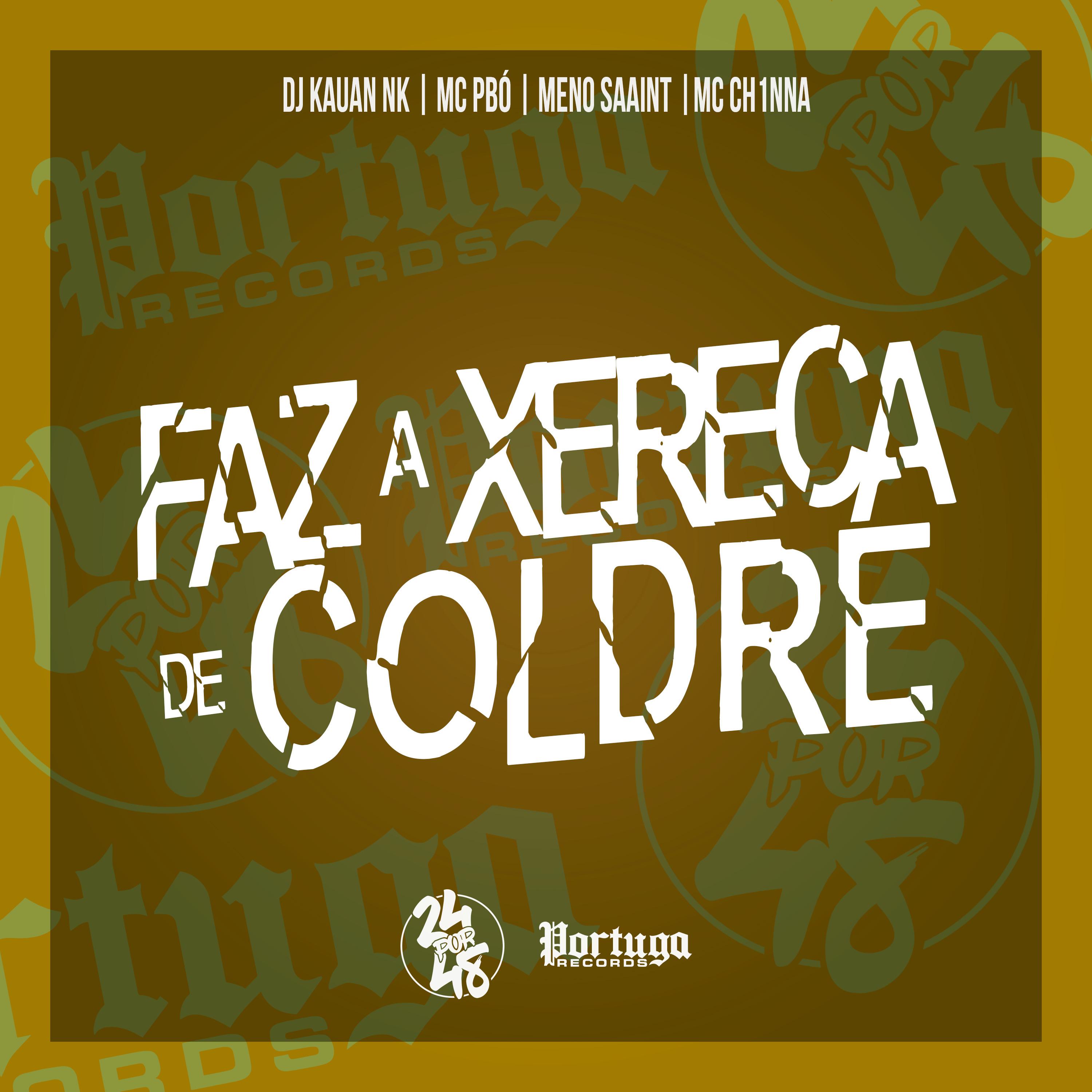 Постер альбома Faz a Xereca de Coldre