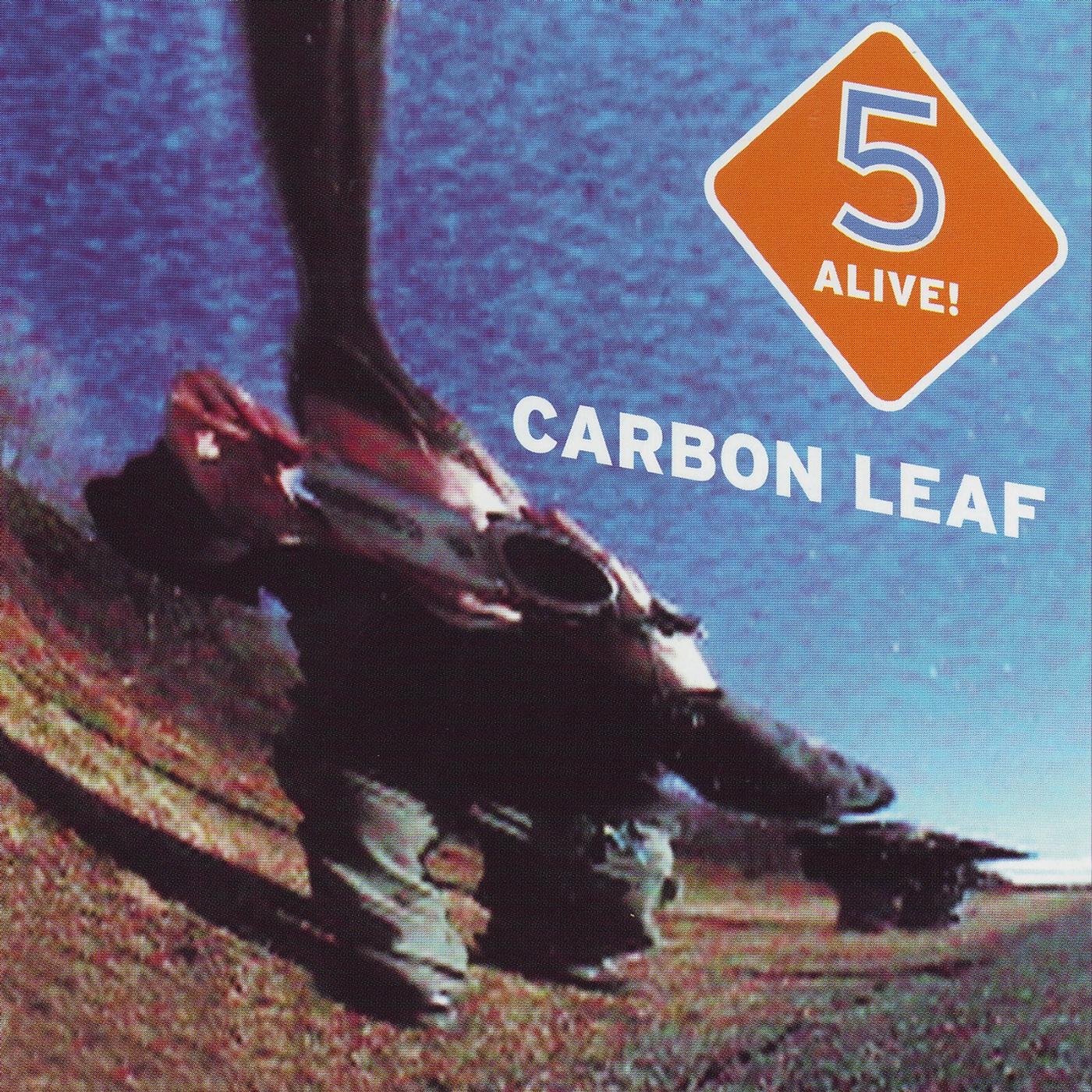 Carbon Leaf - 7 Brides For 7 Sinners