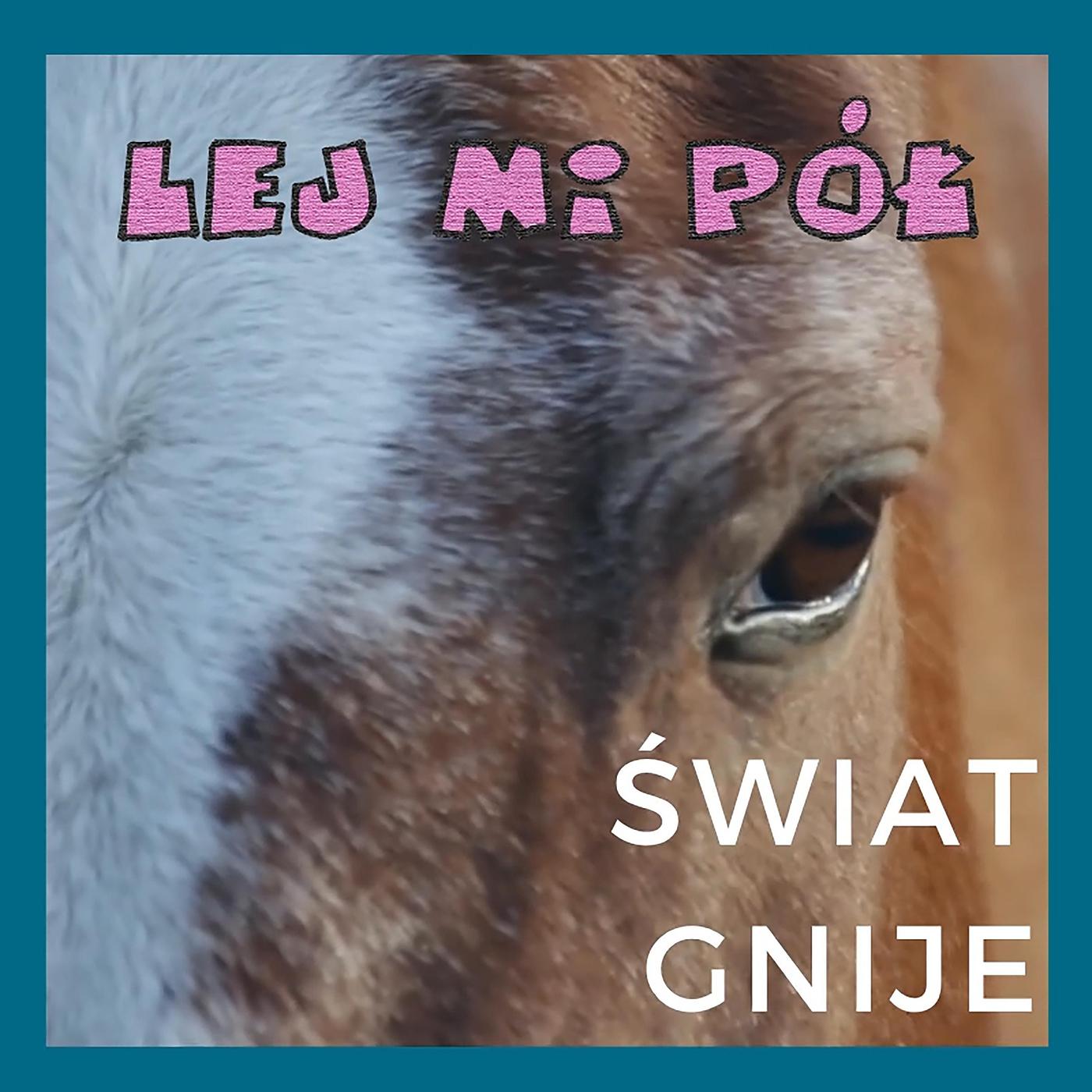 Постер альбома Świat Gnije