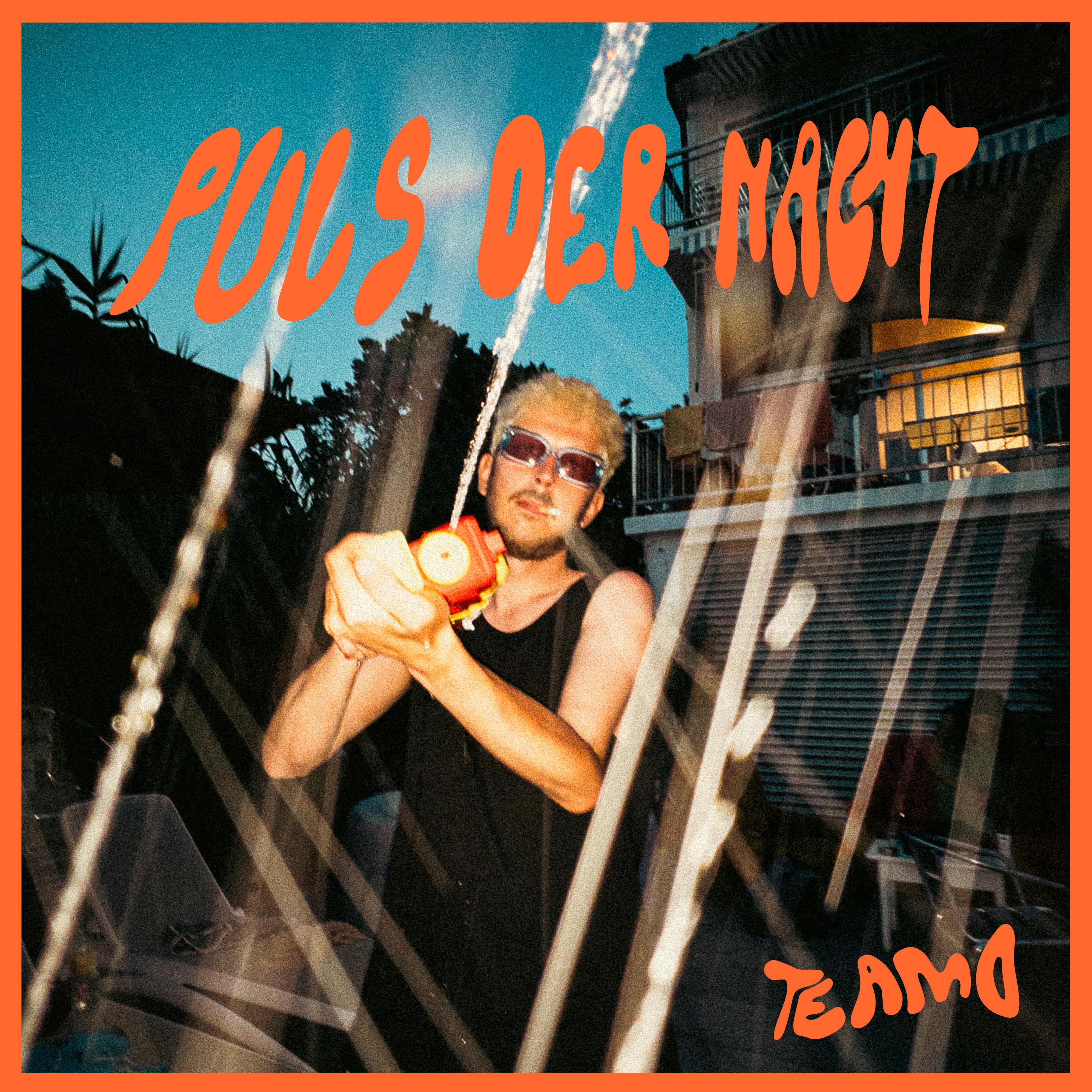 Постер альбома Puls der Nacht