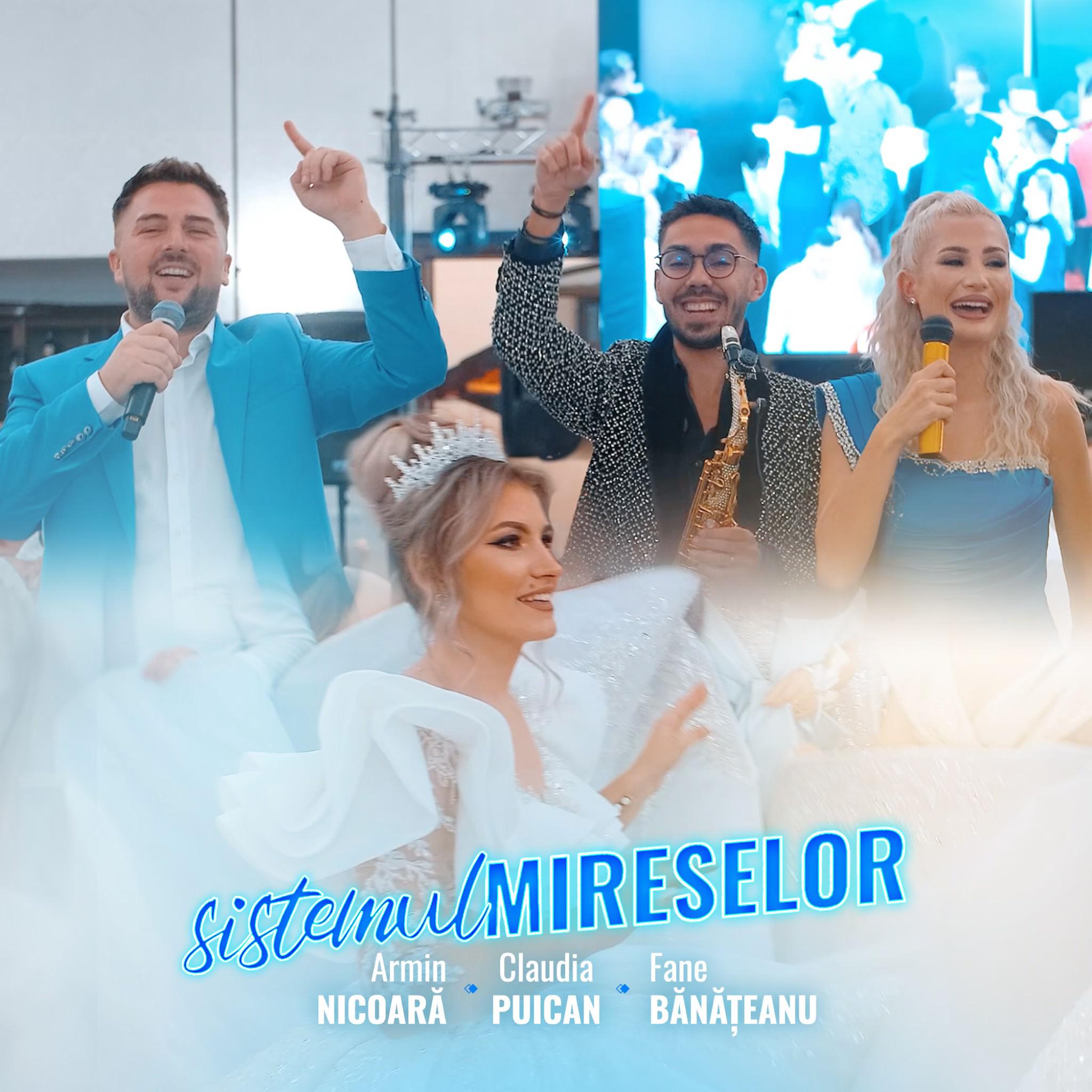Постер альбома Sistemul Mireselor