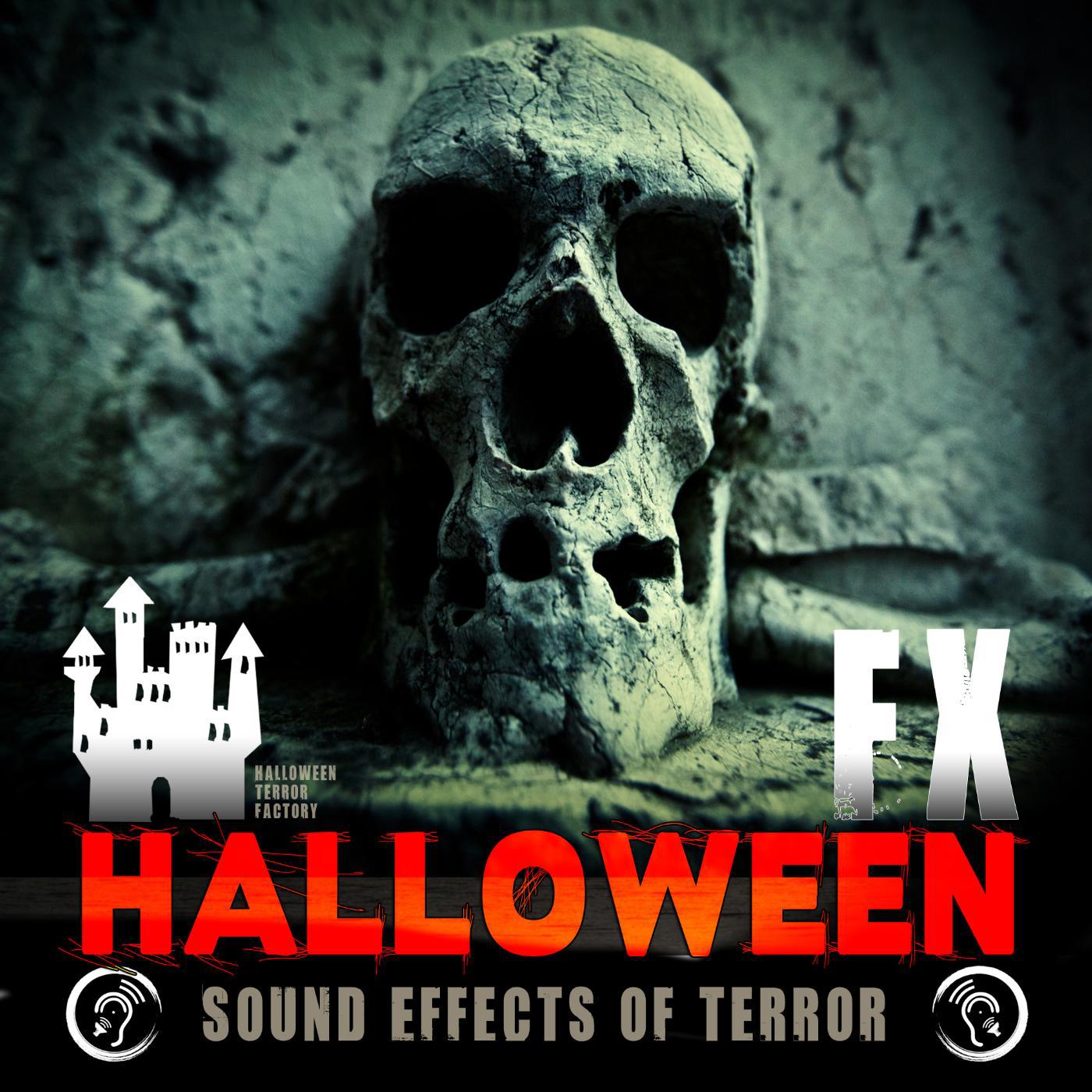 Постер альбома Halloween: Sound Effects of Terror