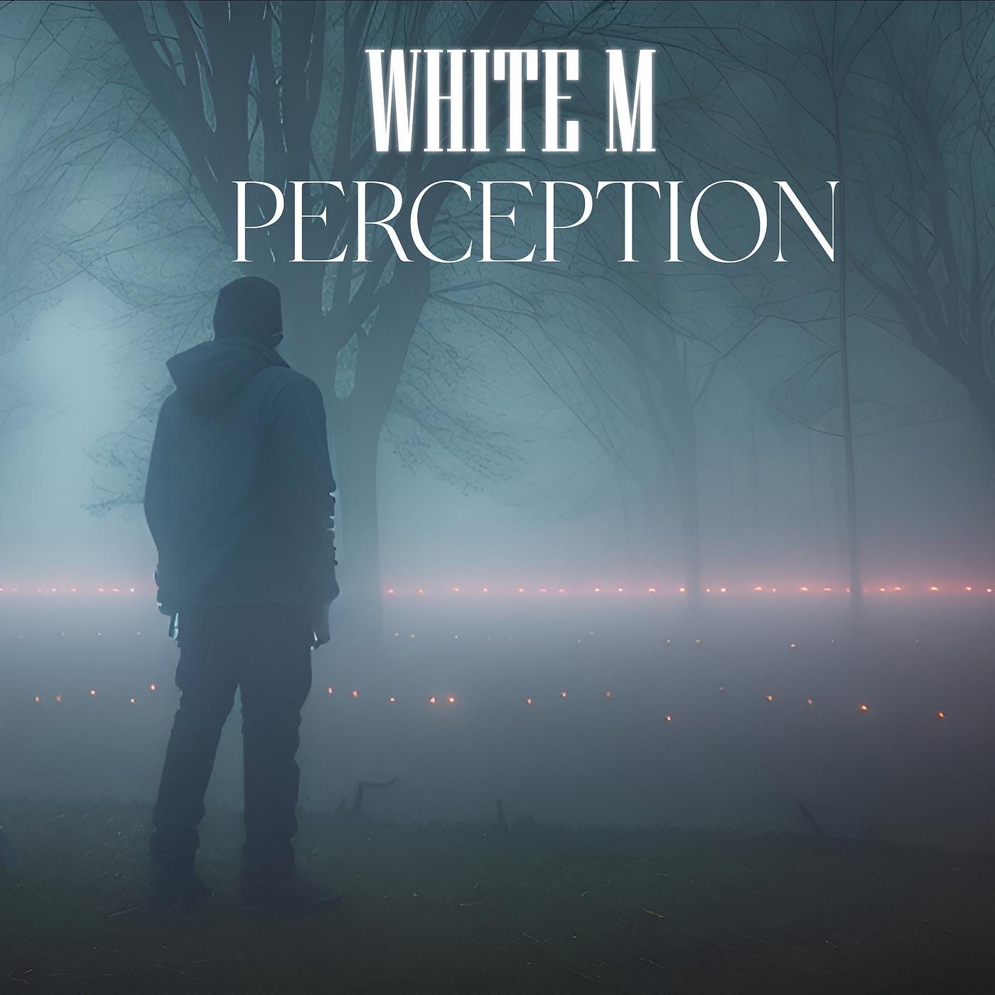 Постер альбома Perception