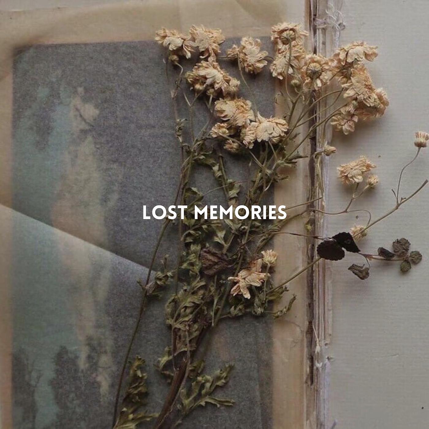 Постер альбома Lost Memories