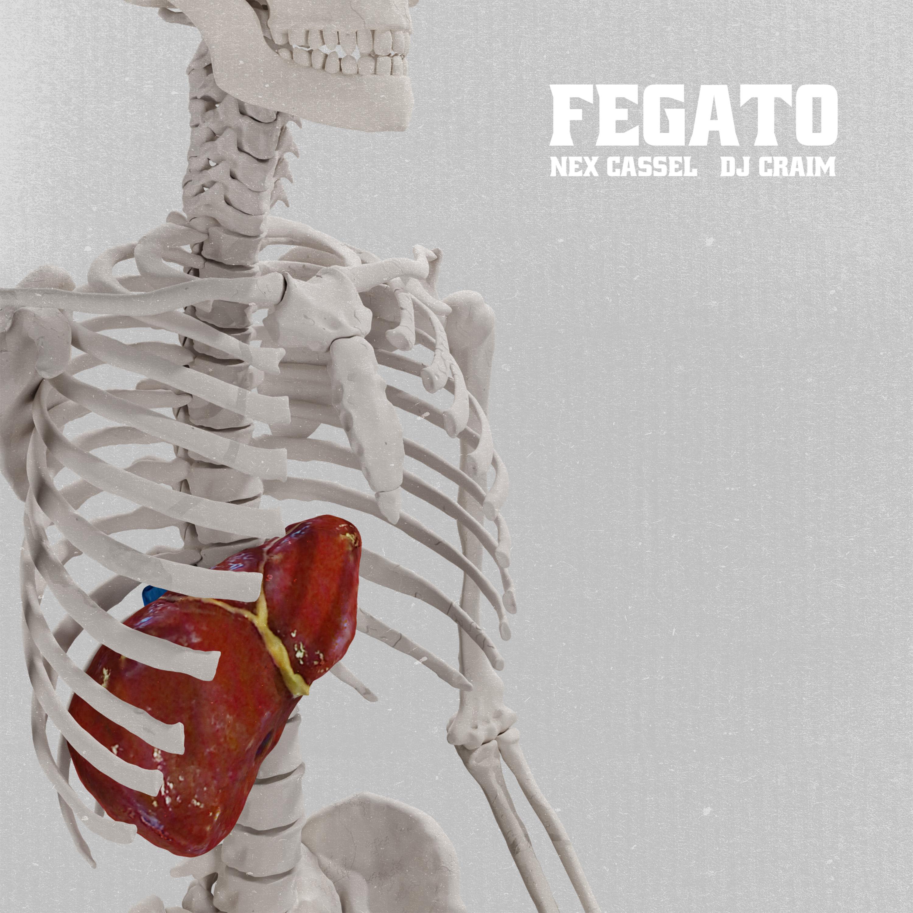 Постер альбома FEGATO