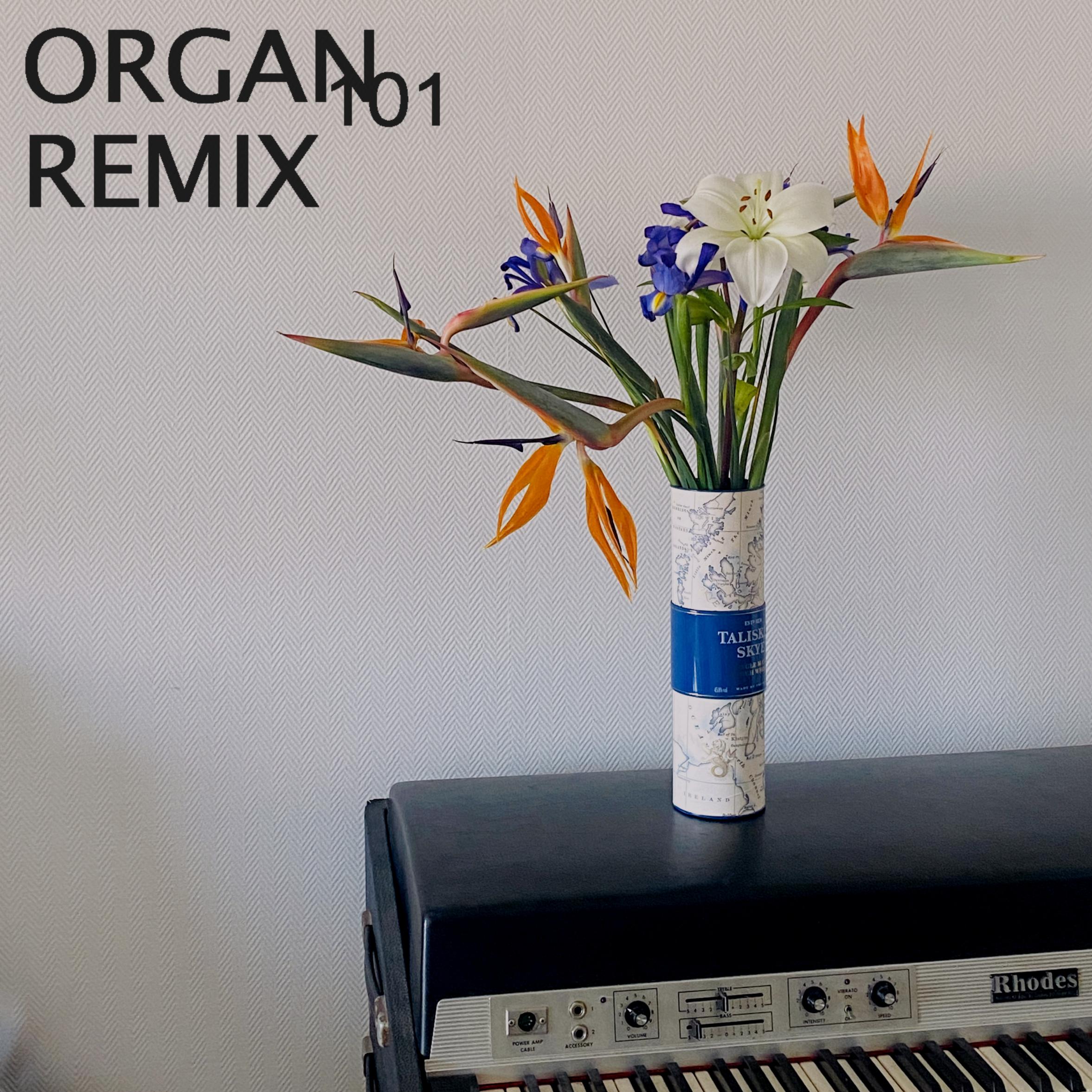Постер альбома Organ 101 Remix