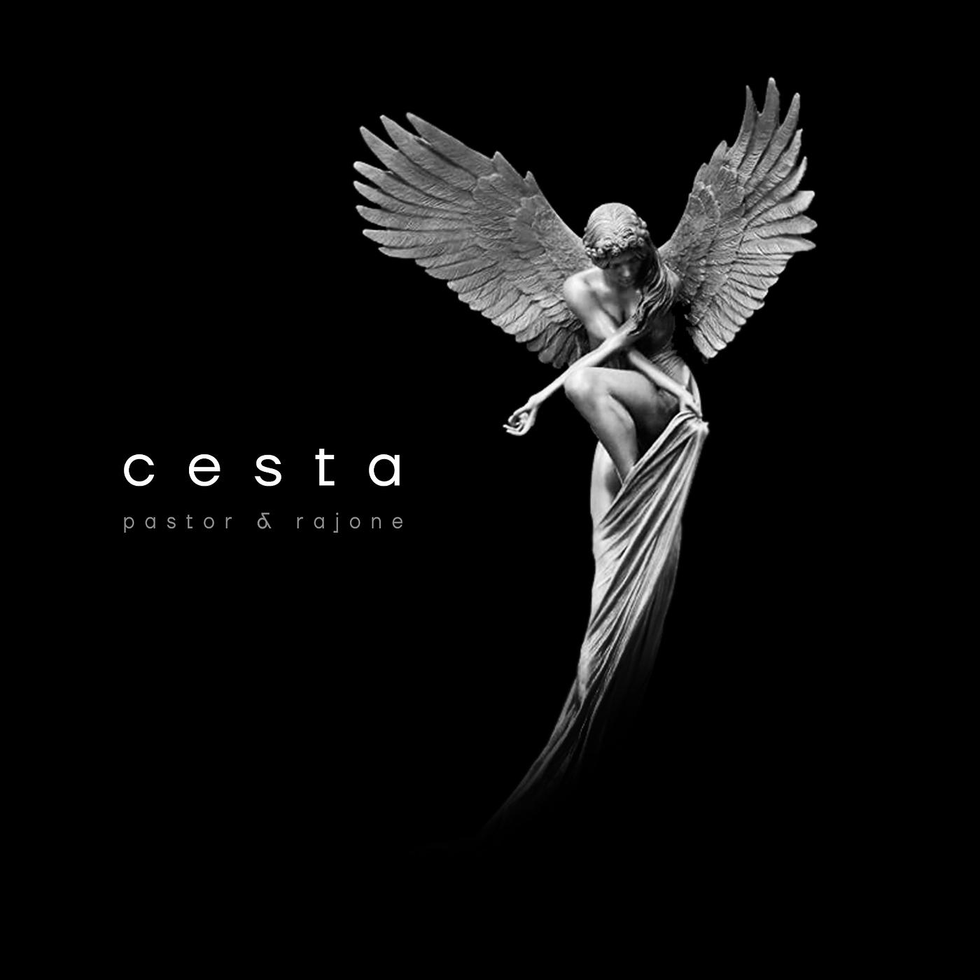 Постер альбома Cesta