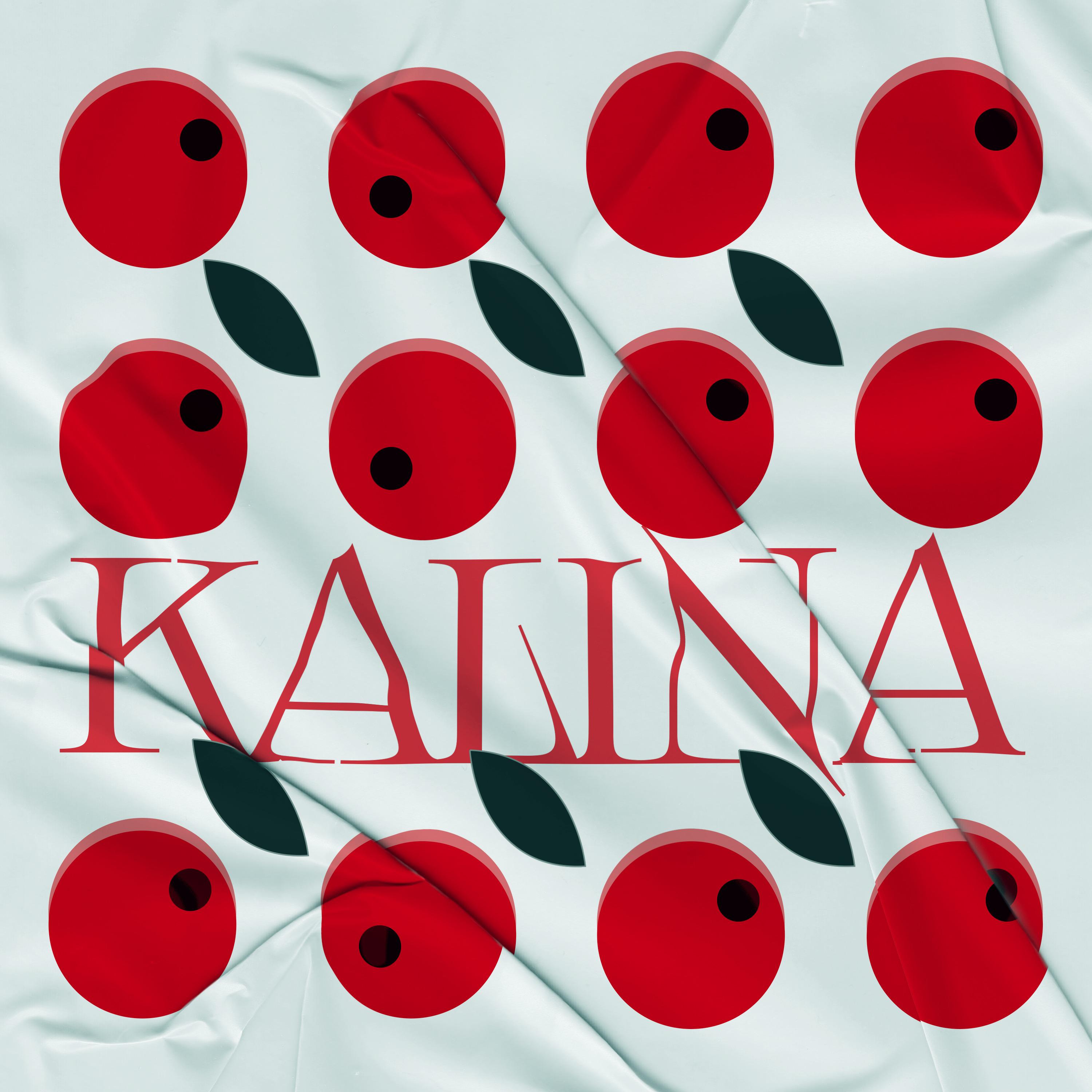 Постер альбома KALINA