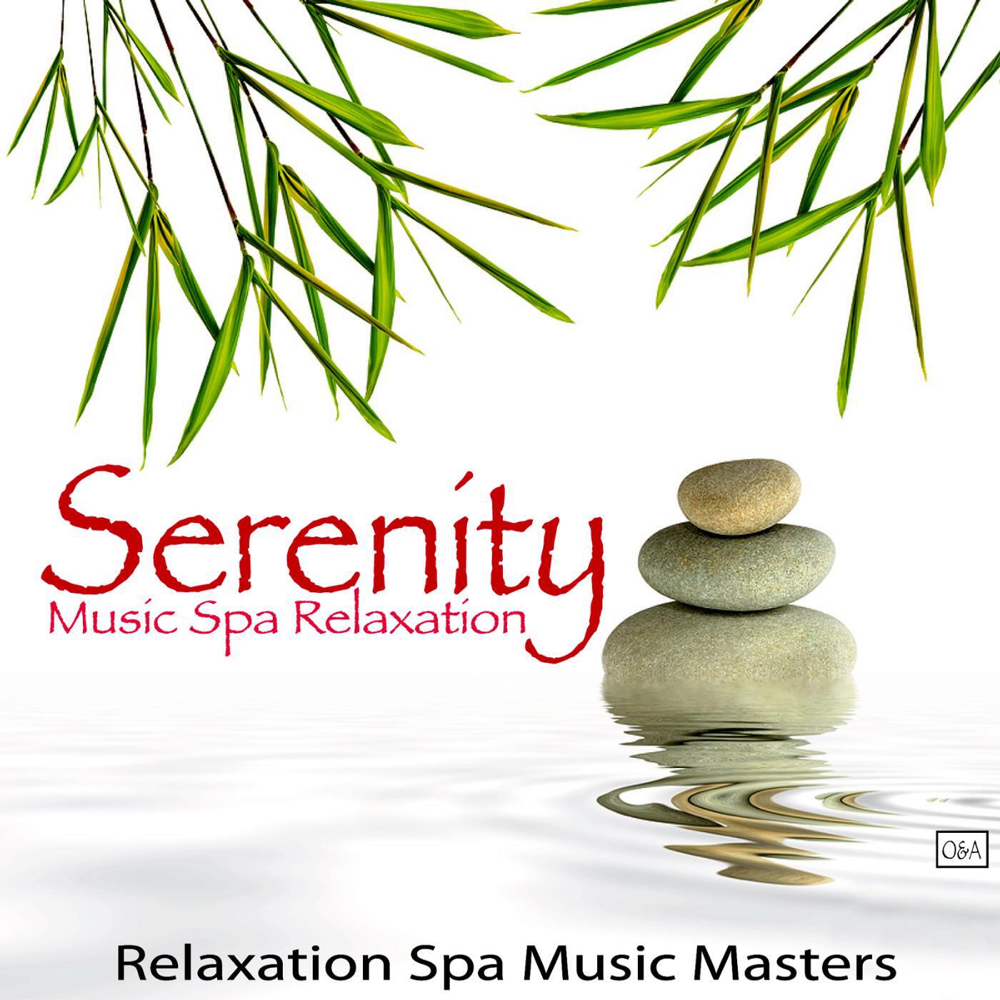 Relaxation Spa Music Masters - Spa Dreams: the Best of Relaxation and Spa Music