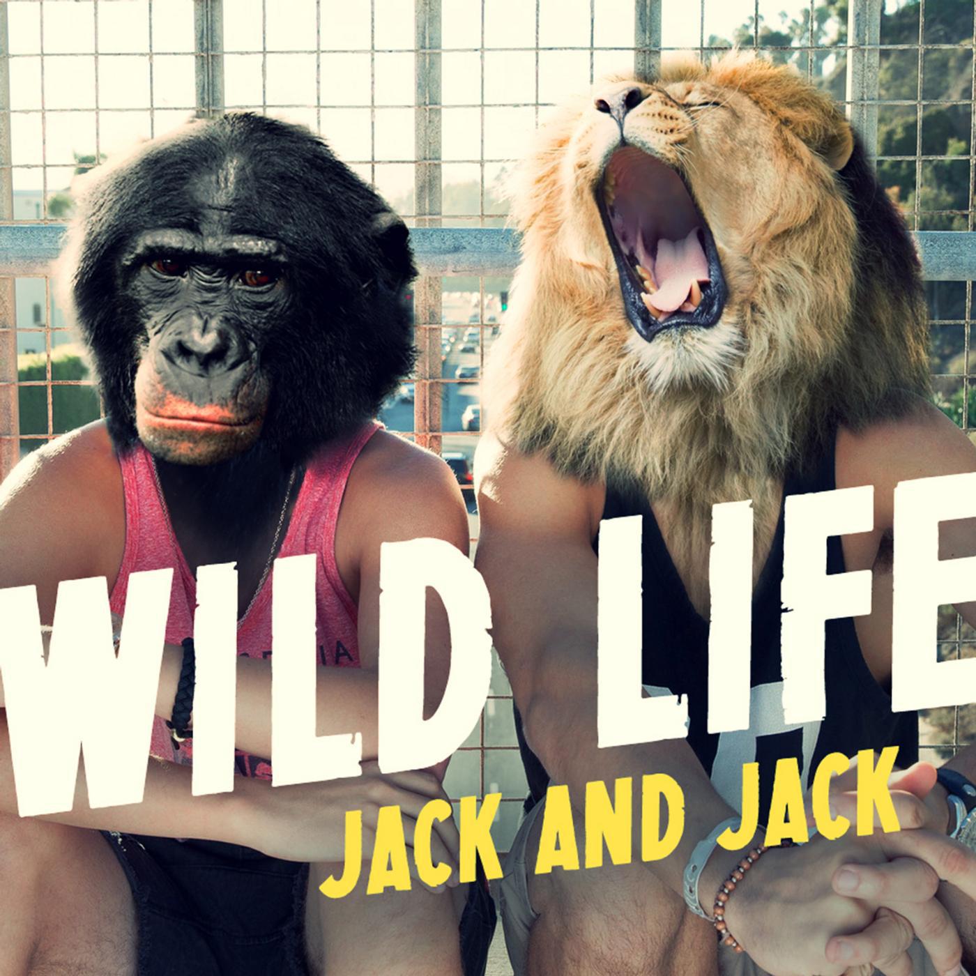 Постер альбома Wild Life