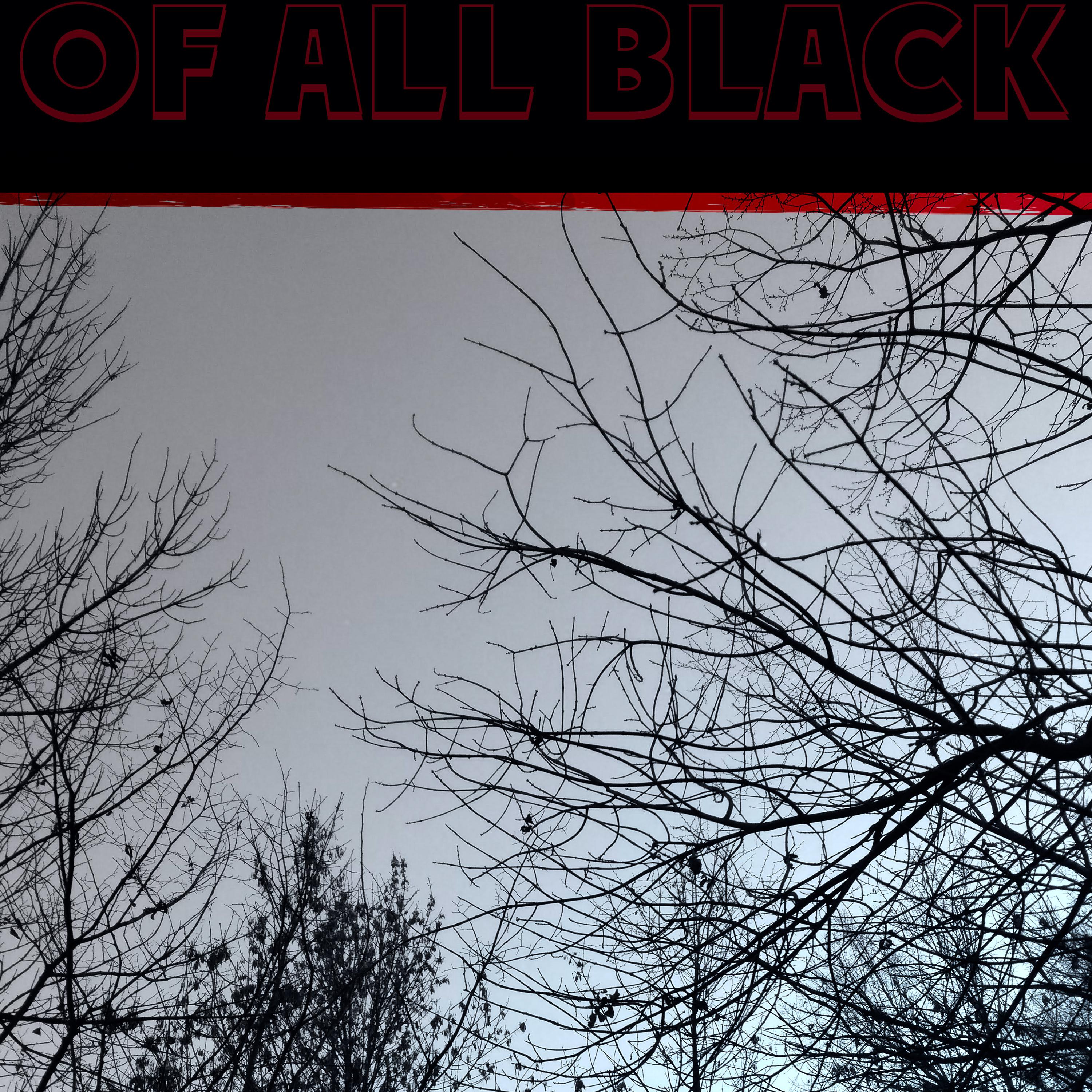 Постер альбома Of All Black
