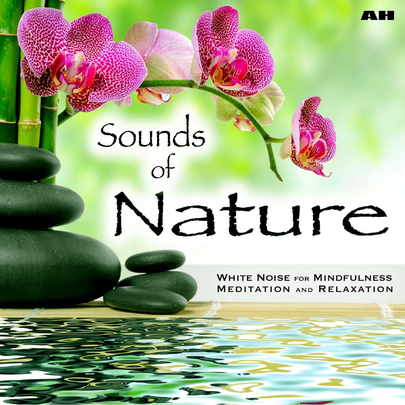 Sounds of Nature White Noise for Mindfulness Meditation and Relaxation - Spa Relaxation