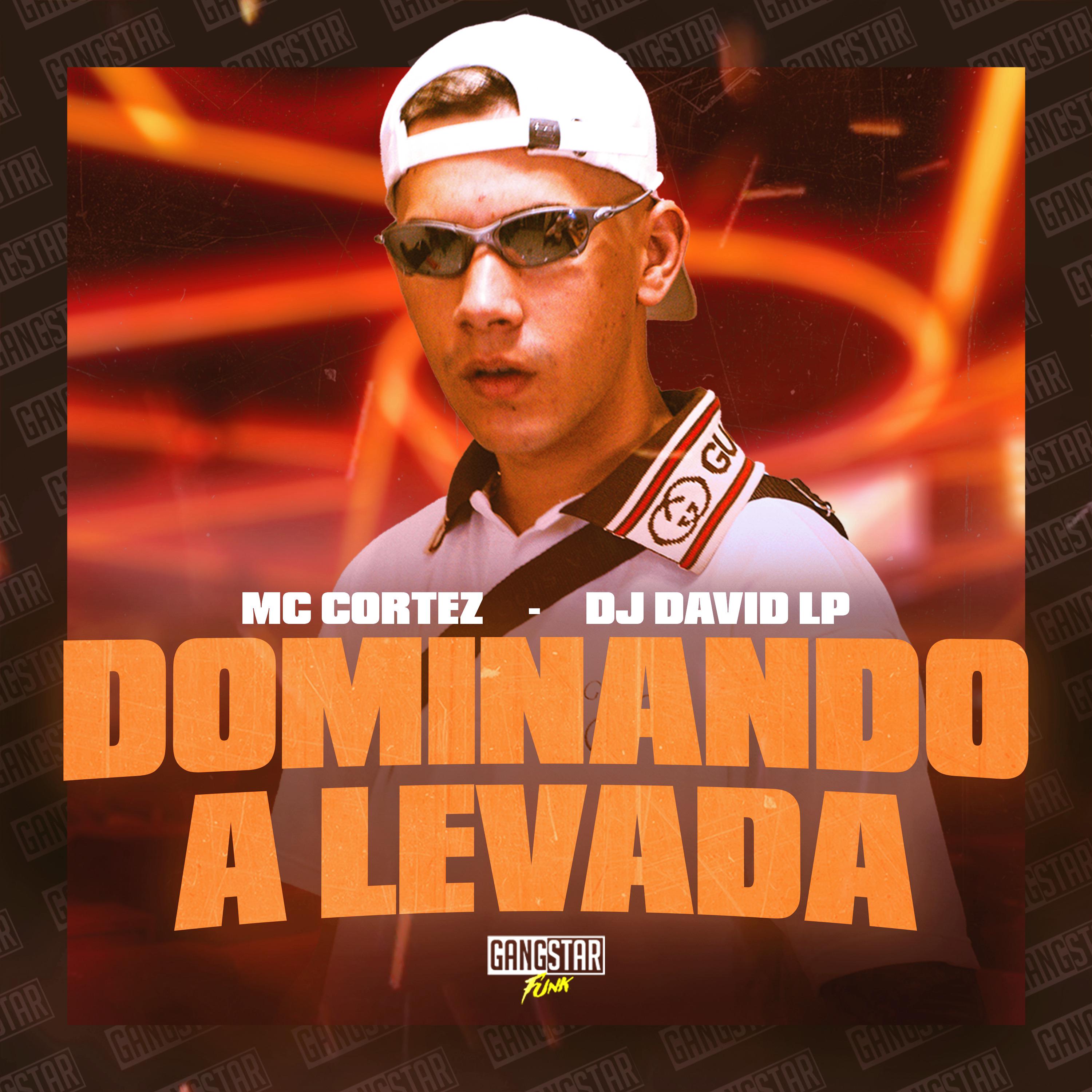 Постер альбома Dominando a Levada