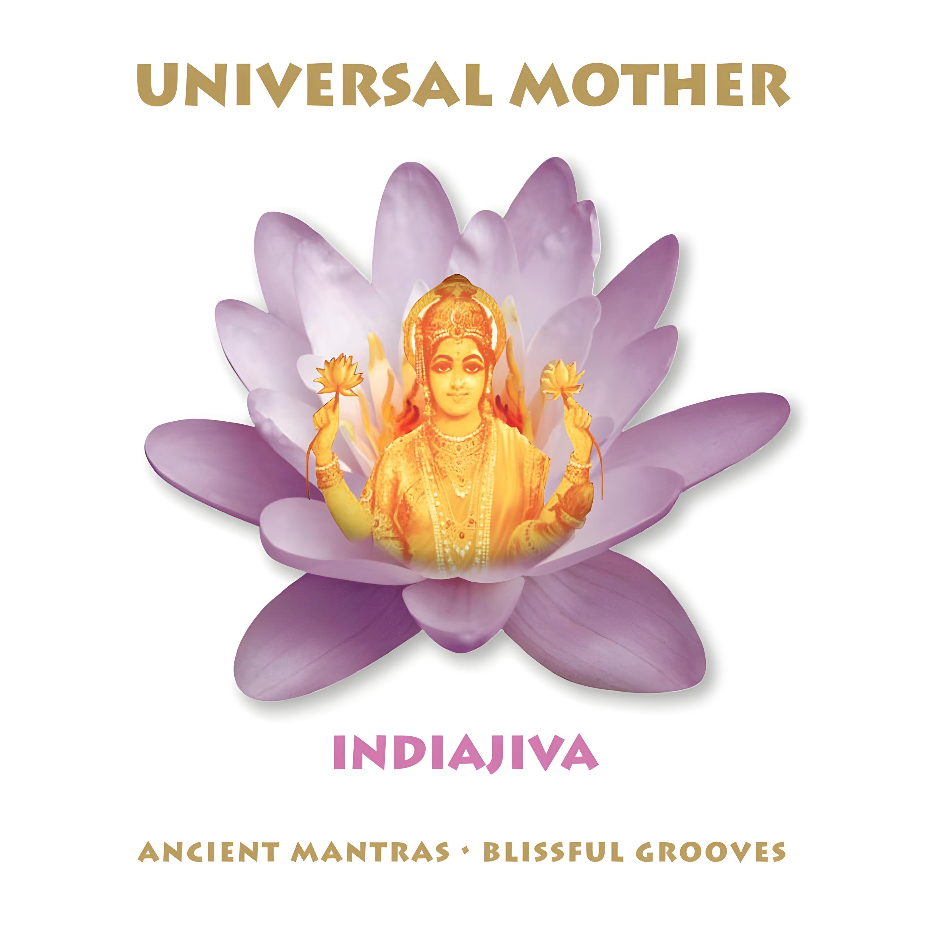 Постер альбома Universal Mother