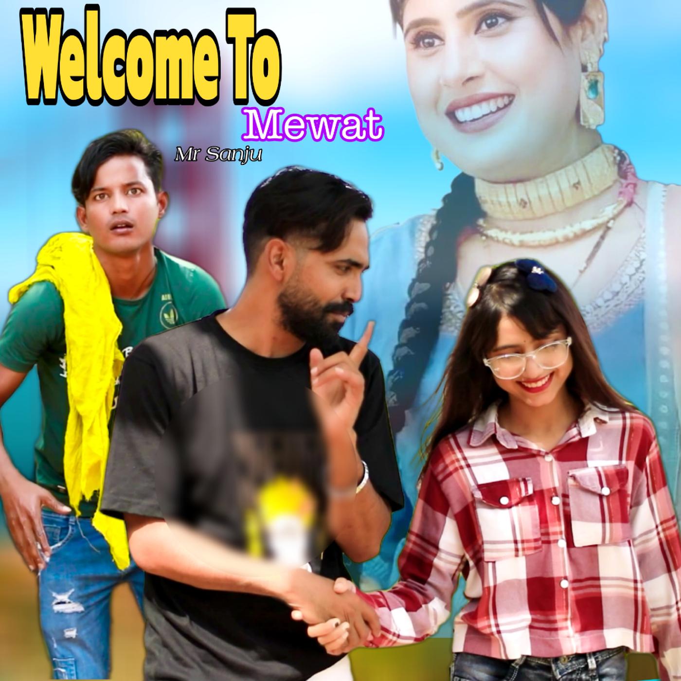 Постер альбома Welcome to Mewat