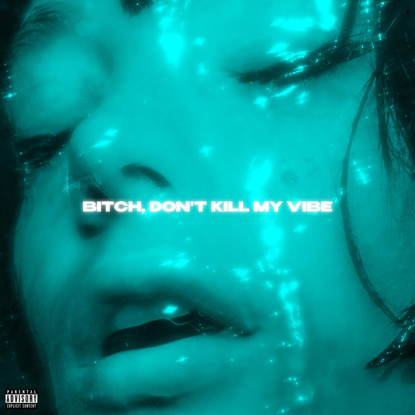 Постер альбома Bitch, Don’t Kill My Vibe