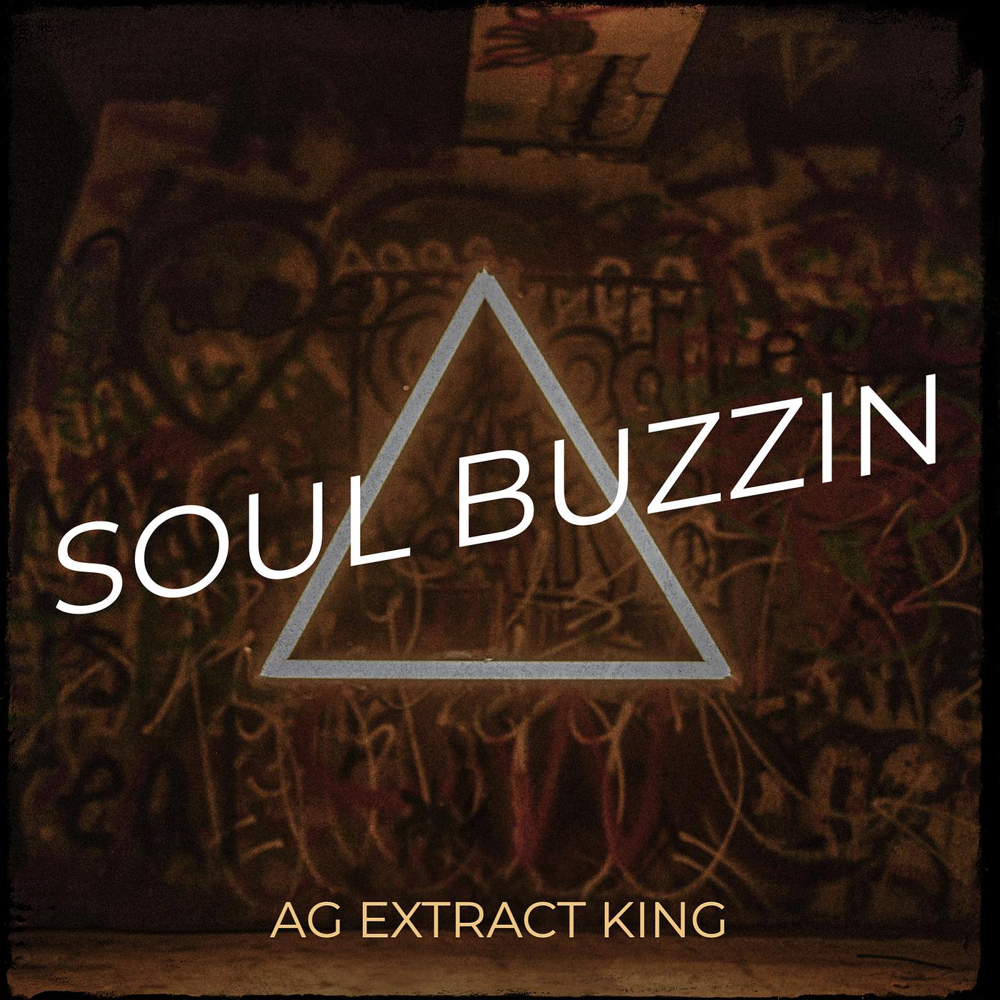 Постер альбома Soul Buzzin