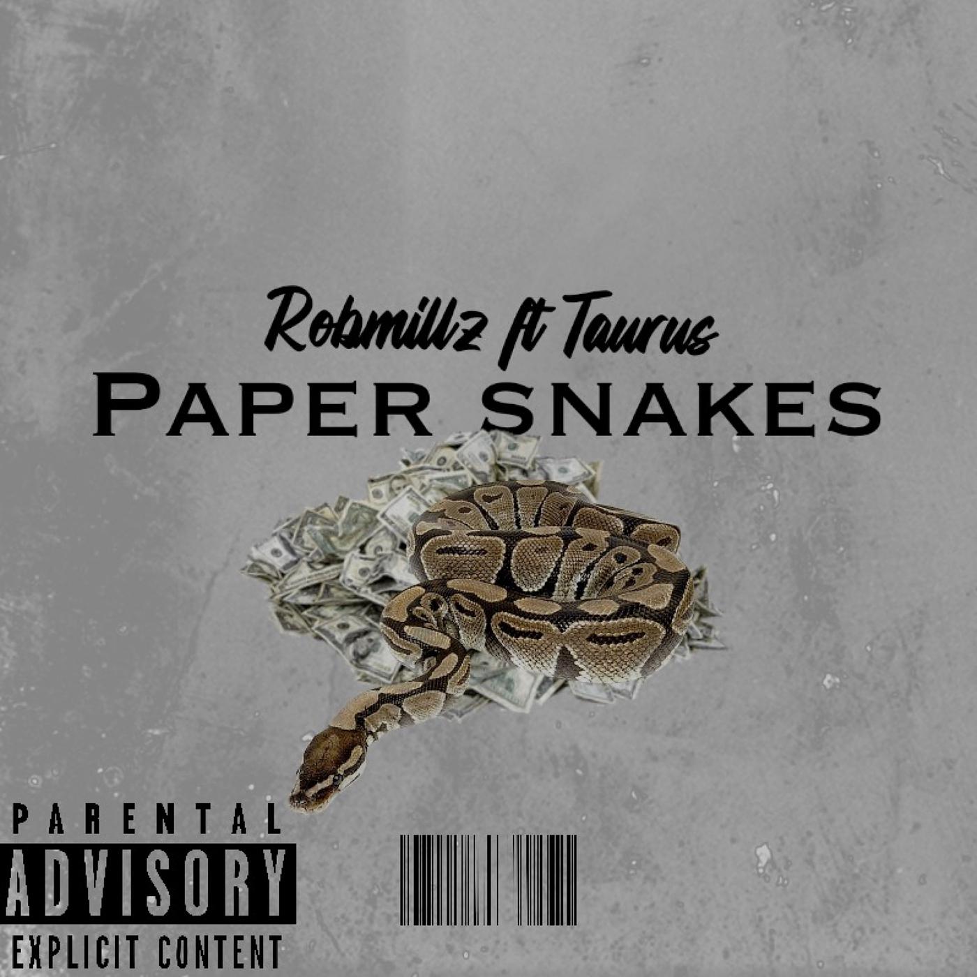 Постер альбома Paper Snakes